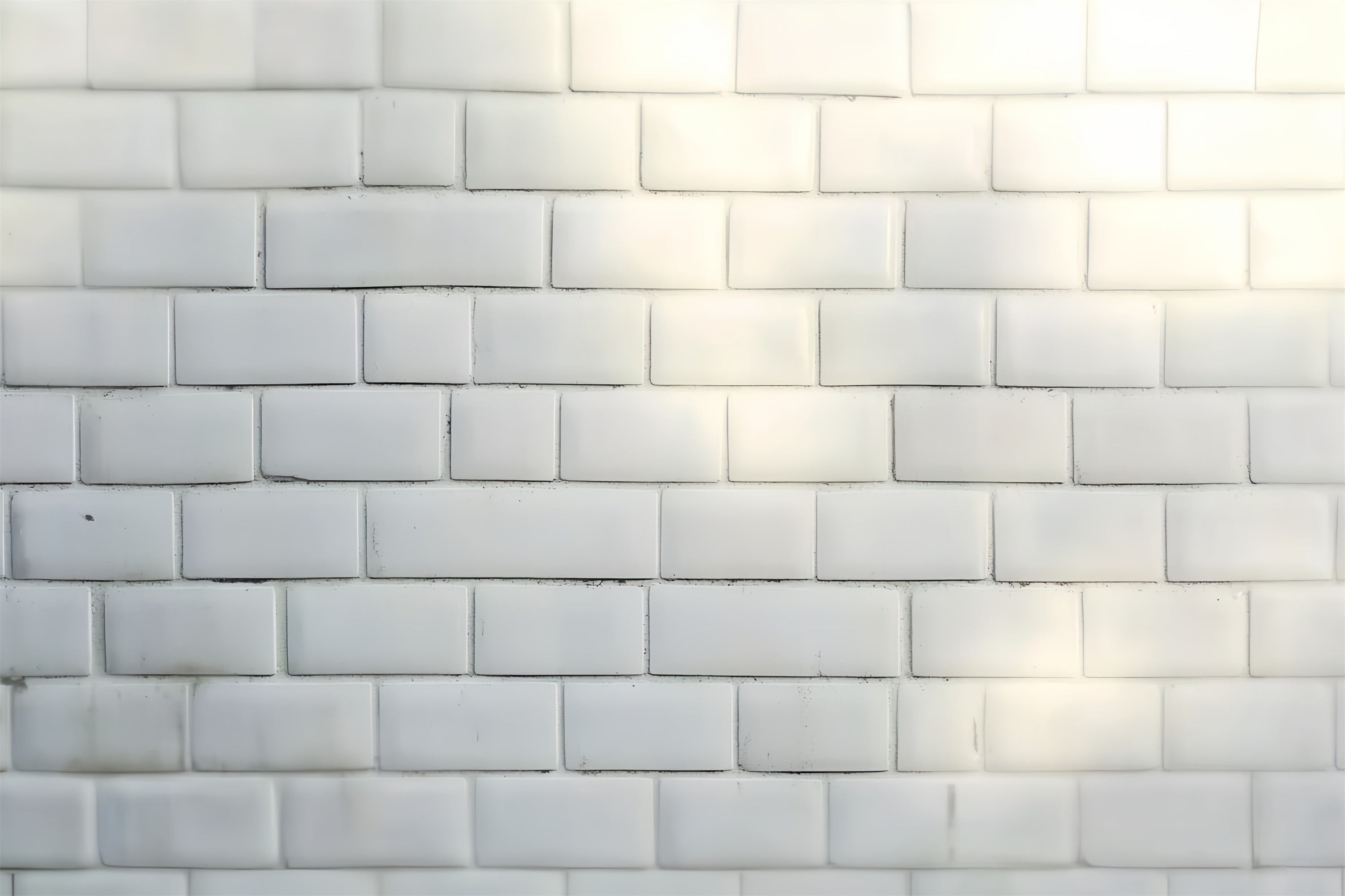Toile de Fond Mur Brique Blanche Brique Mate Minimaliste Photo de Tête CSH57-6