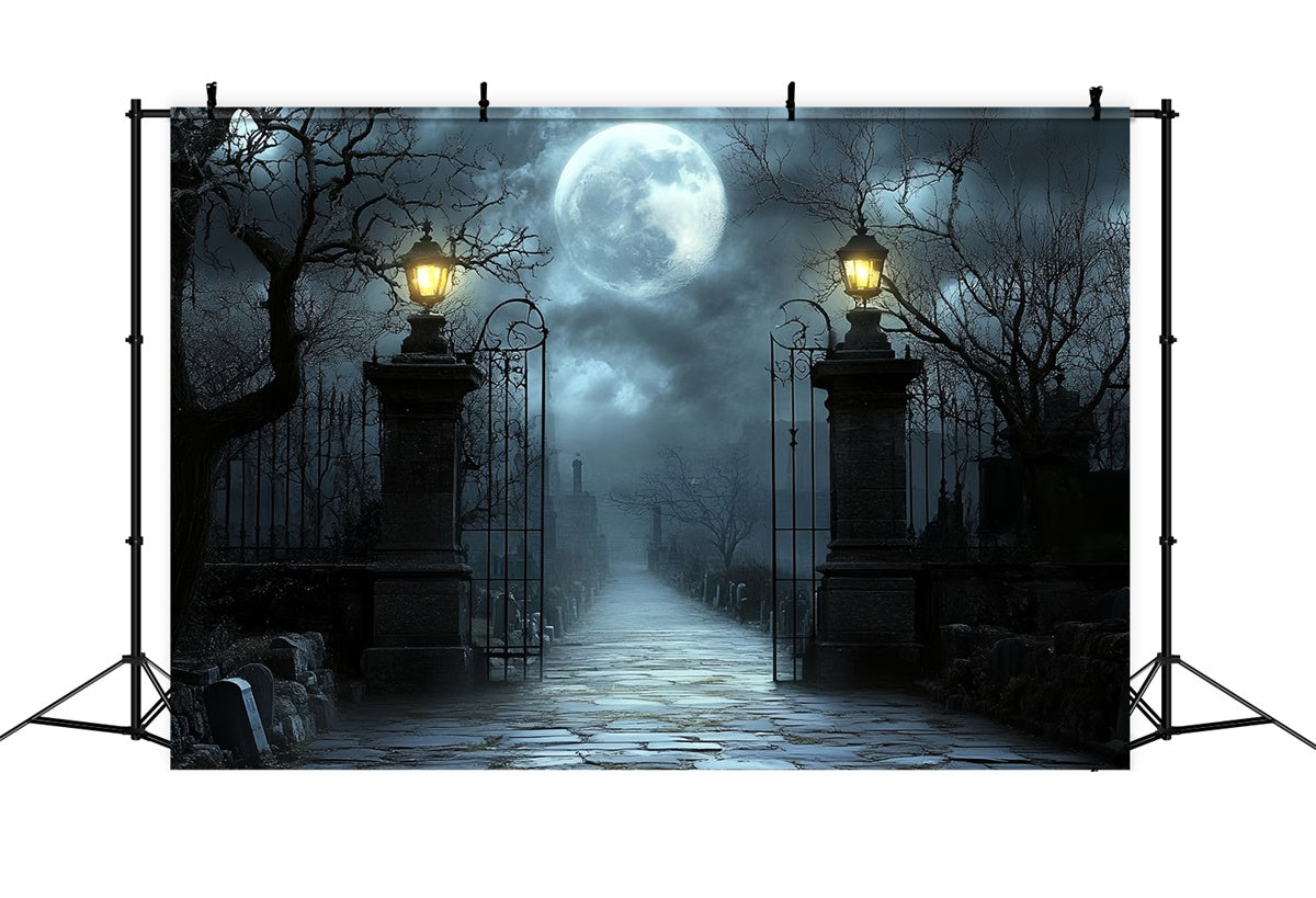 Toile de fond Photo Halloween Portail Cimetière Clair Lune CSH57-63