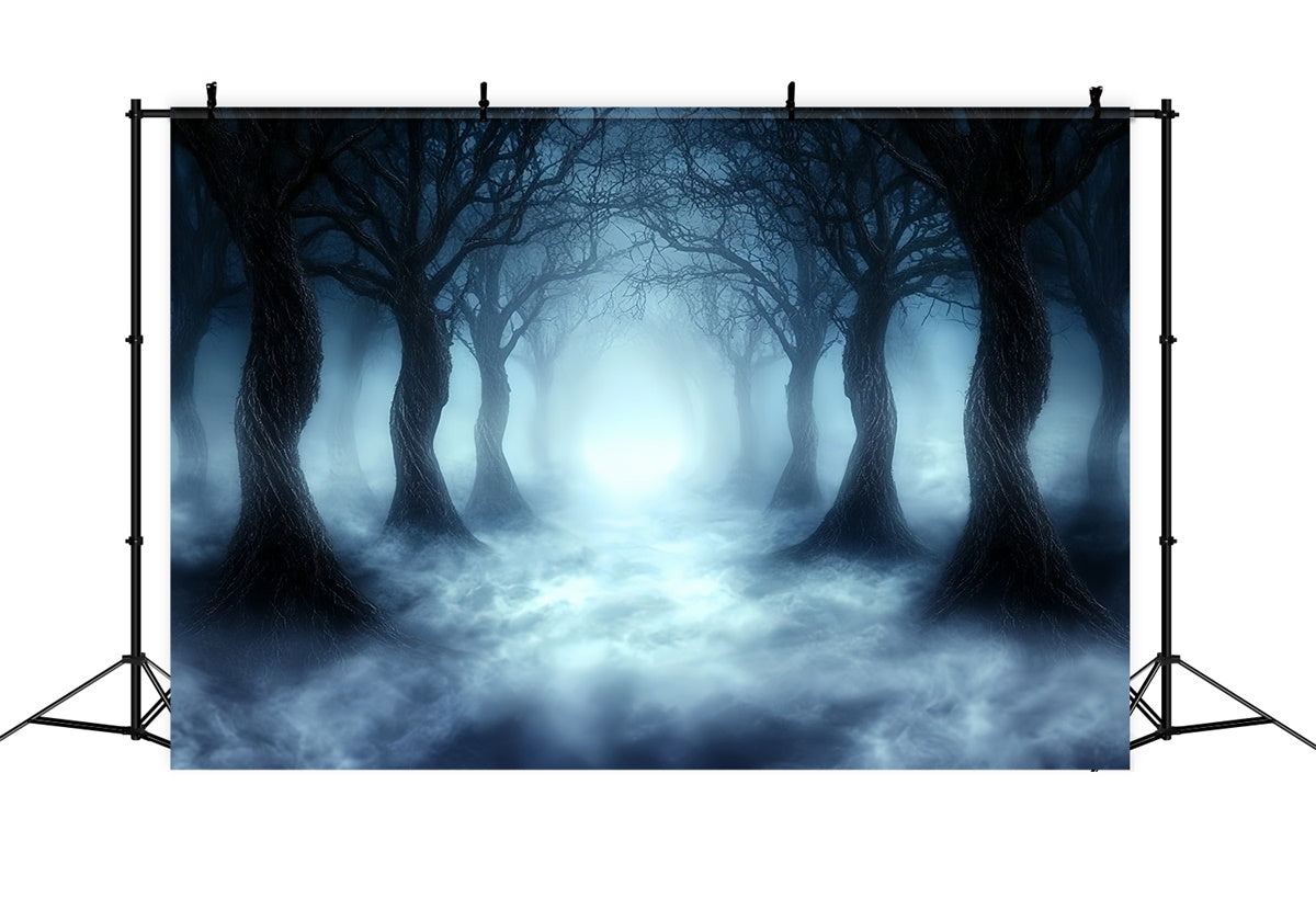 Toile de fond Photo Halloween Promenade Spectre Forêt CSH57-67