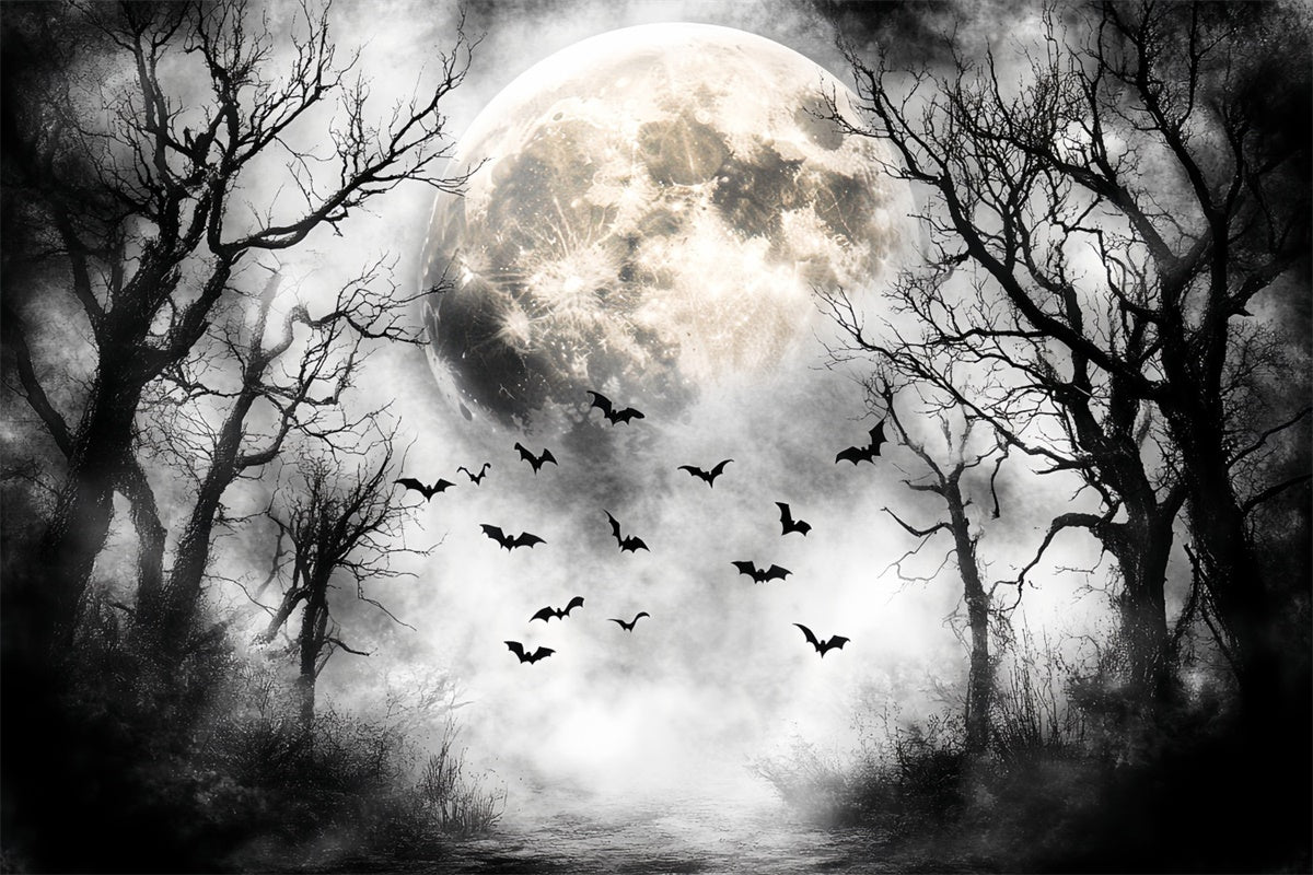 Toile de fond Halloween Vol Nocturne Forêt Lune CSH57-68