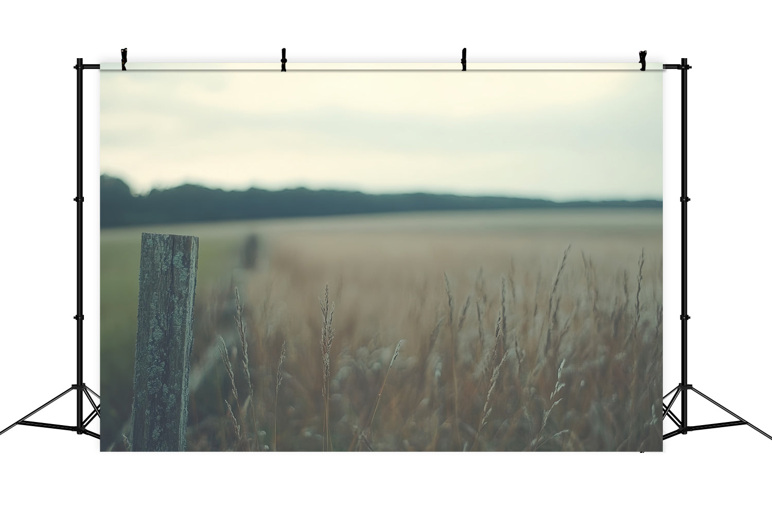 Toile de Fond Photo de Tête Prairie Rustique Silencieuse CSH57-7