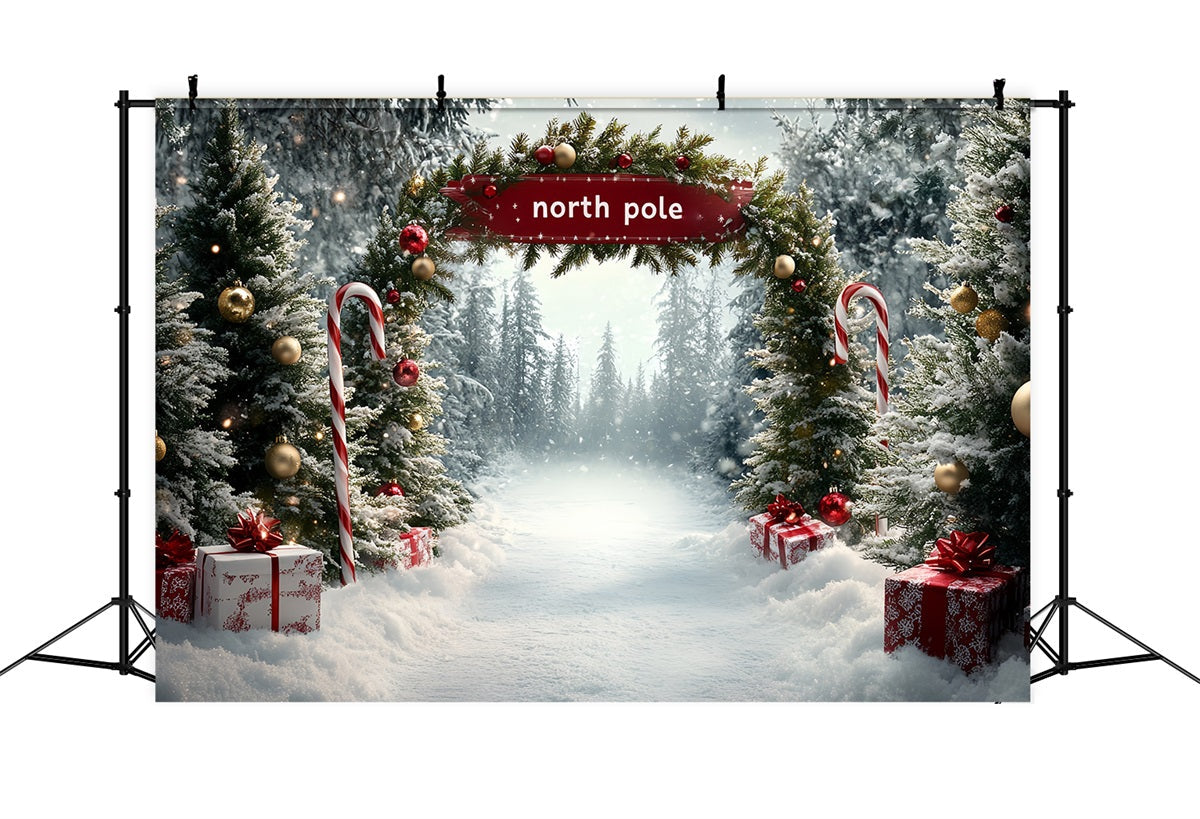 Toile de fond Hiver Pôle Nord Allée Cadeaux Sucre d’Orge CSH58-36