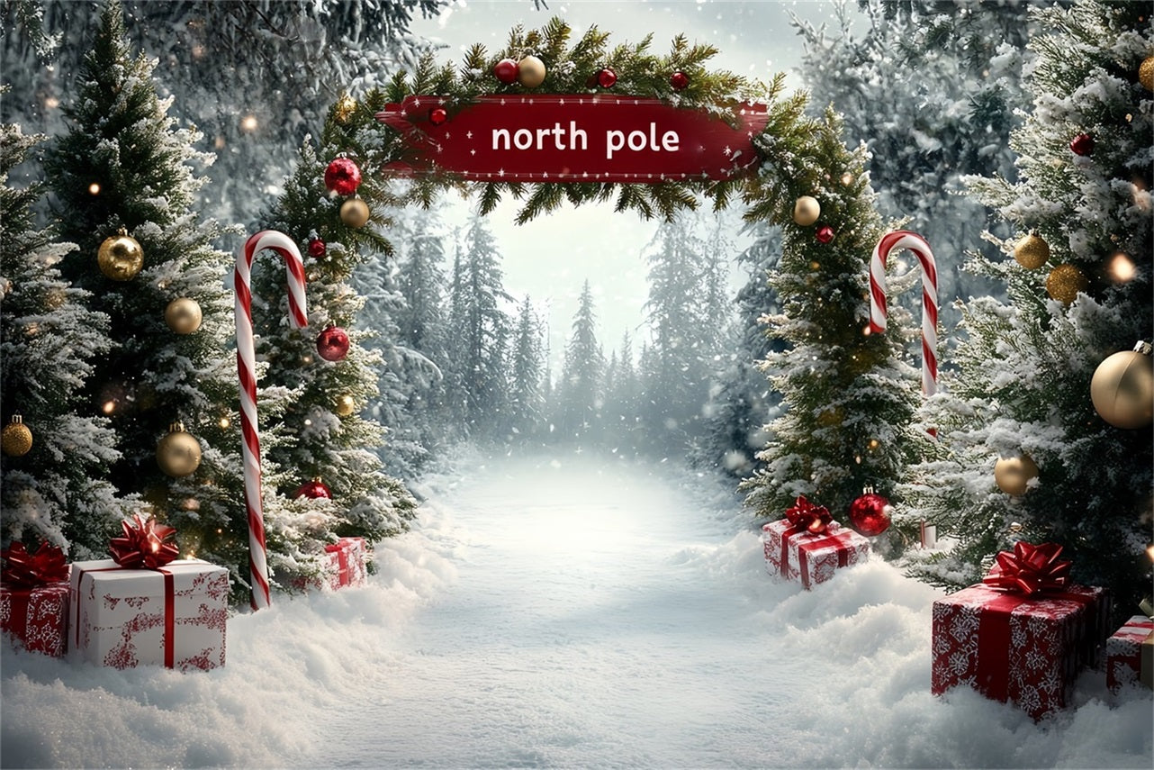 Toile de fond Hiver Pôle Nord Allée Cadeaux Sucre d’Orge CSH58-36