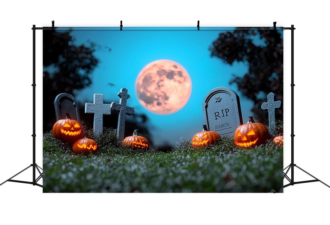 Toile Halloween Cimetière Citrouilles Pleine Lune CSH58-69