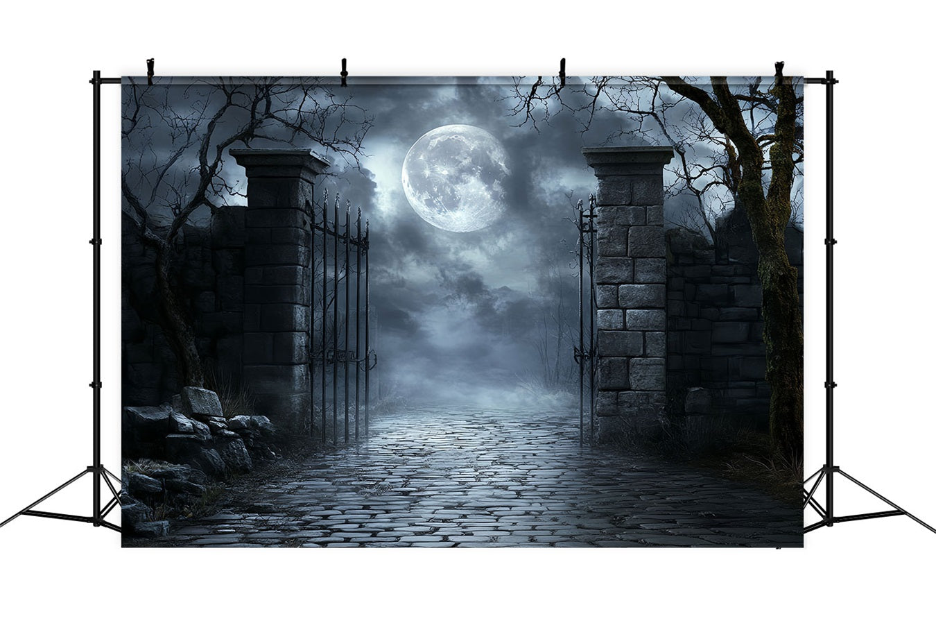 Fond De Photo Halloween Cimetière Clair De Lune Grille En Fer Cabine Photo CSH58-71