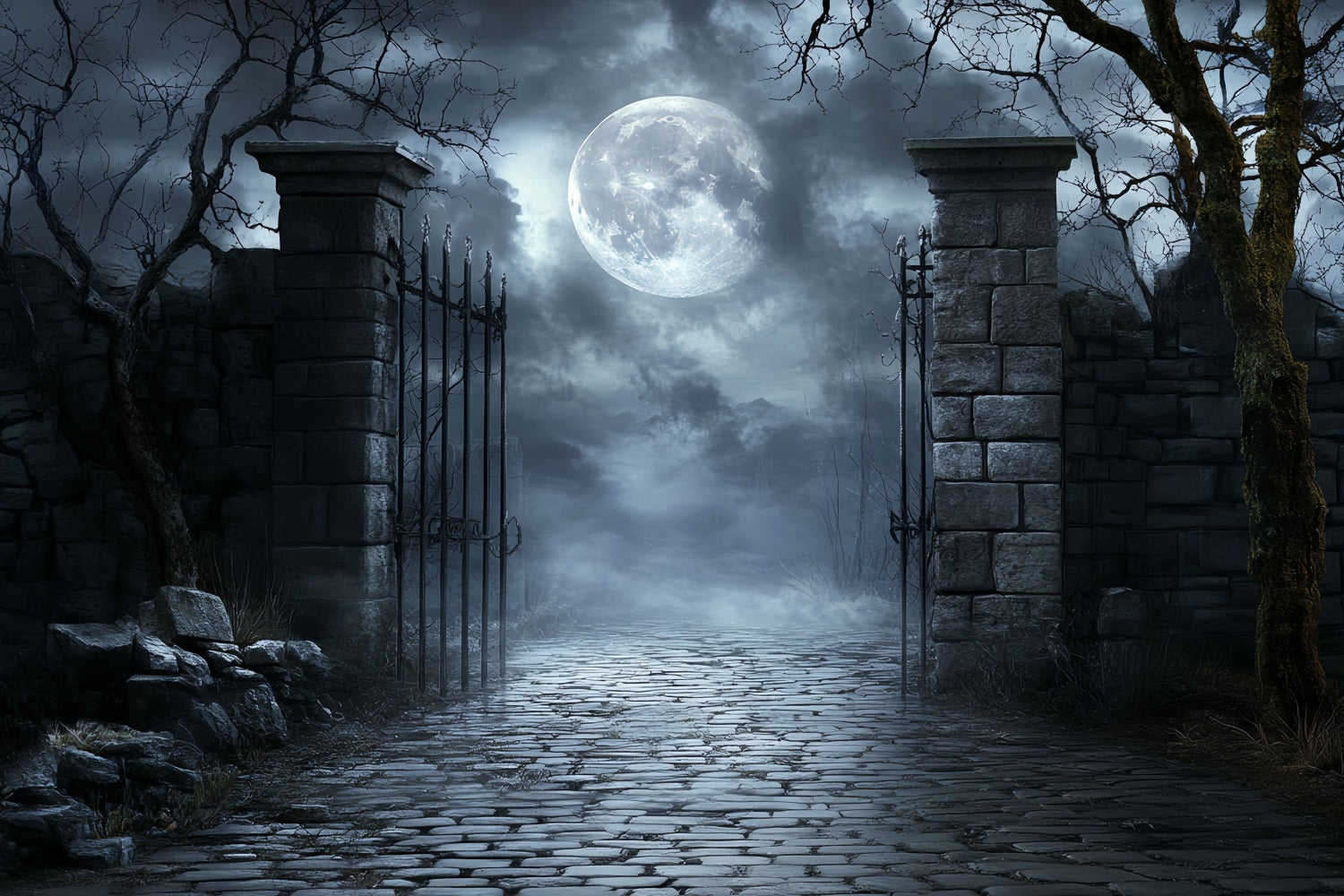 Fond De Photo Halloween Cimetière Clair De Lune Grille En Fer Cabine Photo CSH58-71
