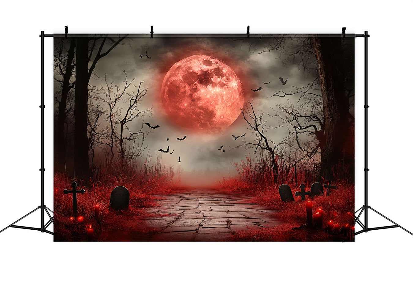 Fond Photo Halloween Lune Sanglante Cimetière Hanté CSH58-73