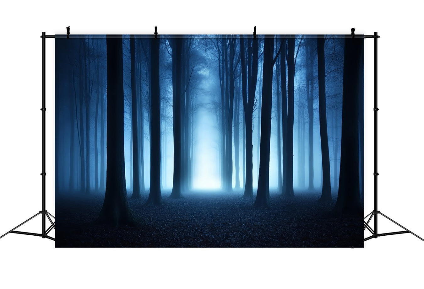 Fond Photo Halloween Brume Bleue Bois Sombres CSH58-79