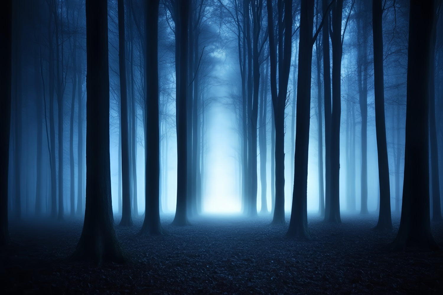 Fond Photo Halloween Brume Bleue Bois Sombres CSH58-79