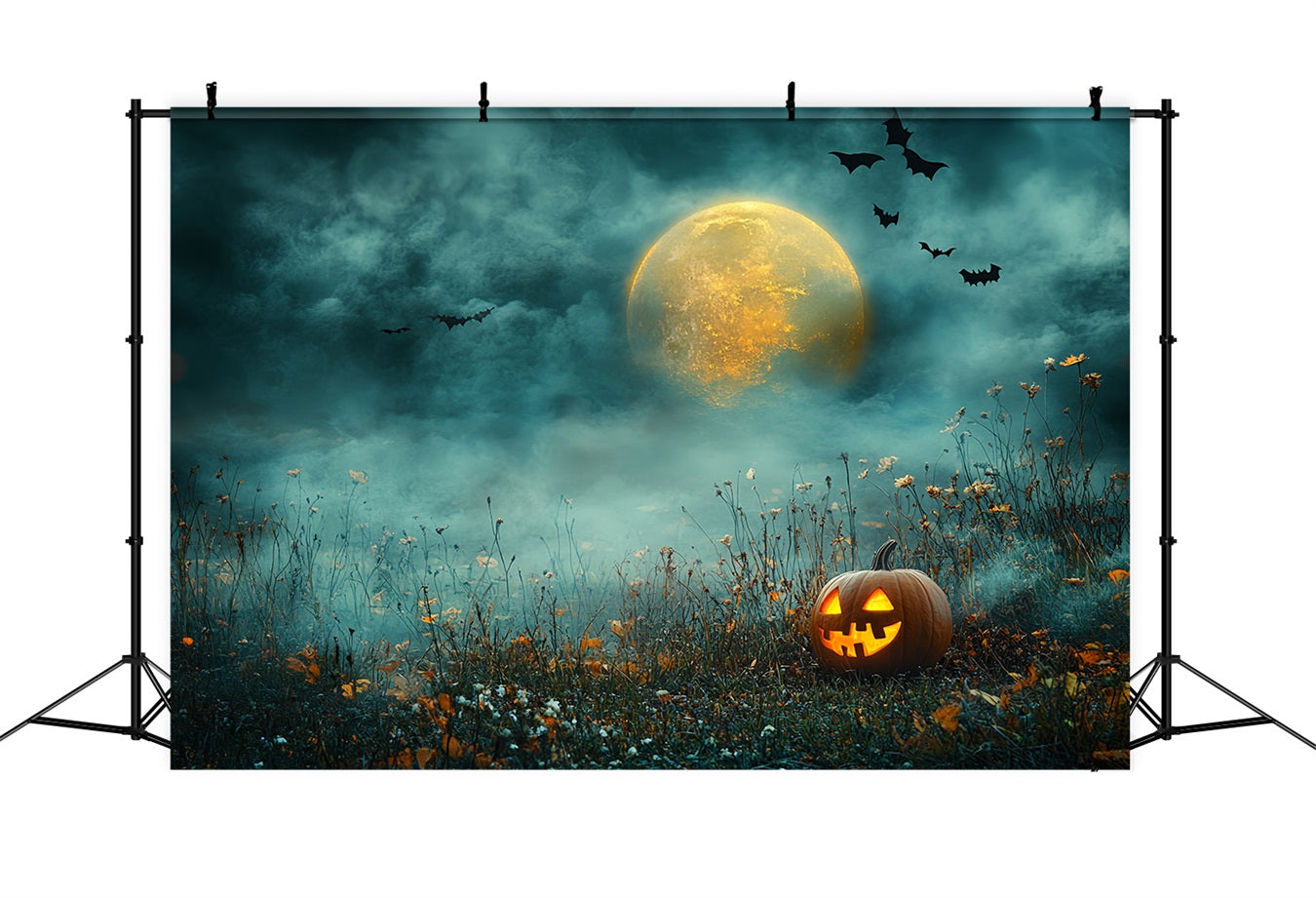 Toile Halloween Citrouille Nuit Ciel Éclairé Par Lune CSH58-81