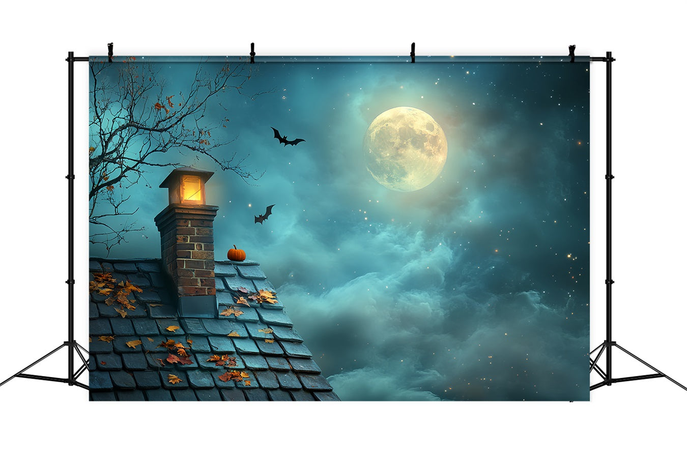 Fond Studio Halloween Toit Citrouille Nuit Étoilée Lune CSH58-82