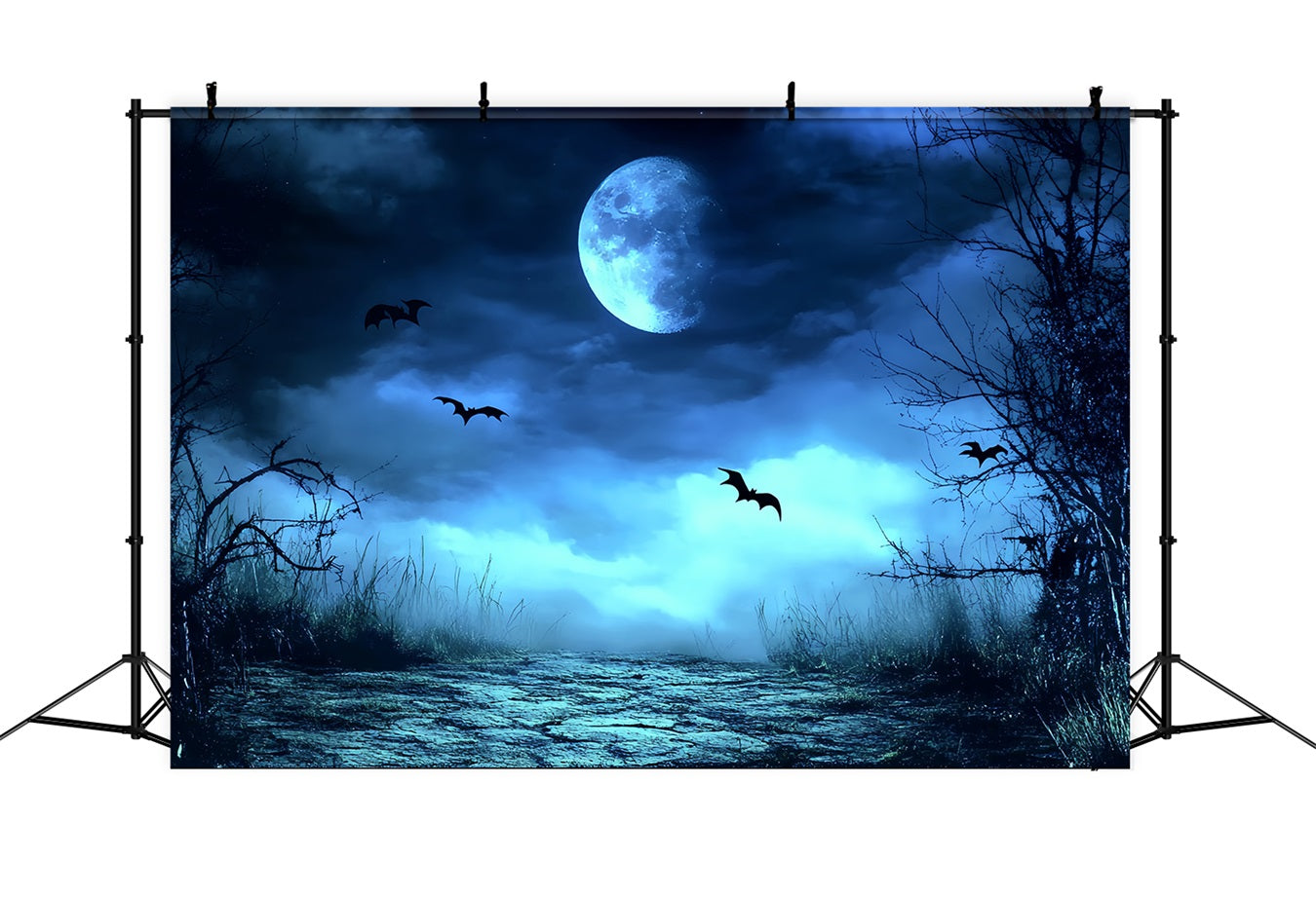 Fond De Photo Halloween Brume Bleue Sentier Effrayant CSH58-83