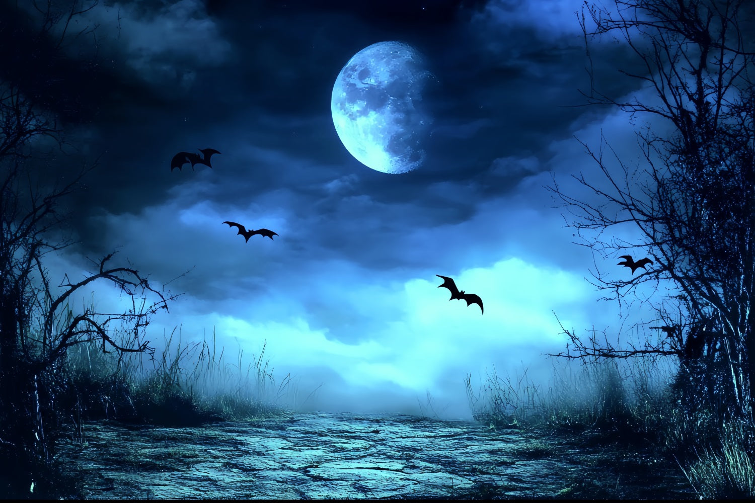 Fond De Photo Halloween Brume Bleue Sentier Effrayant CSH58-83