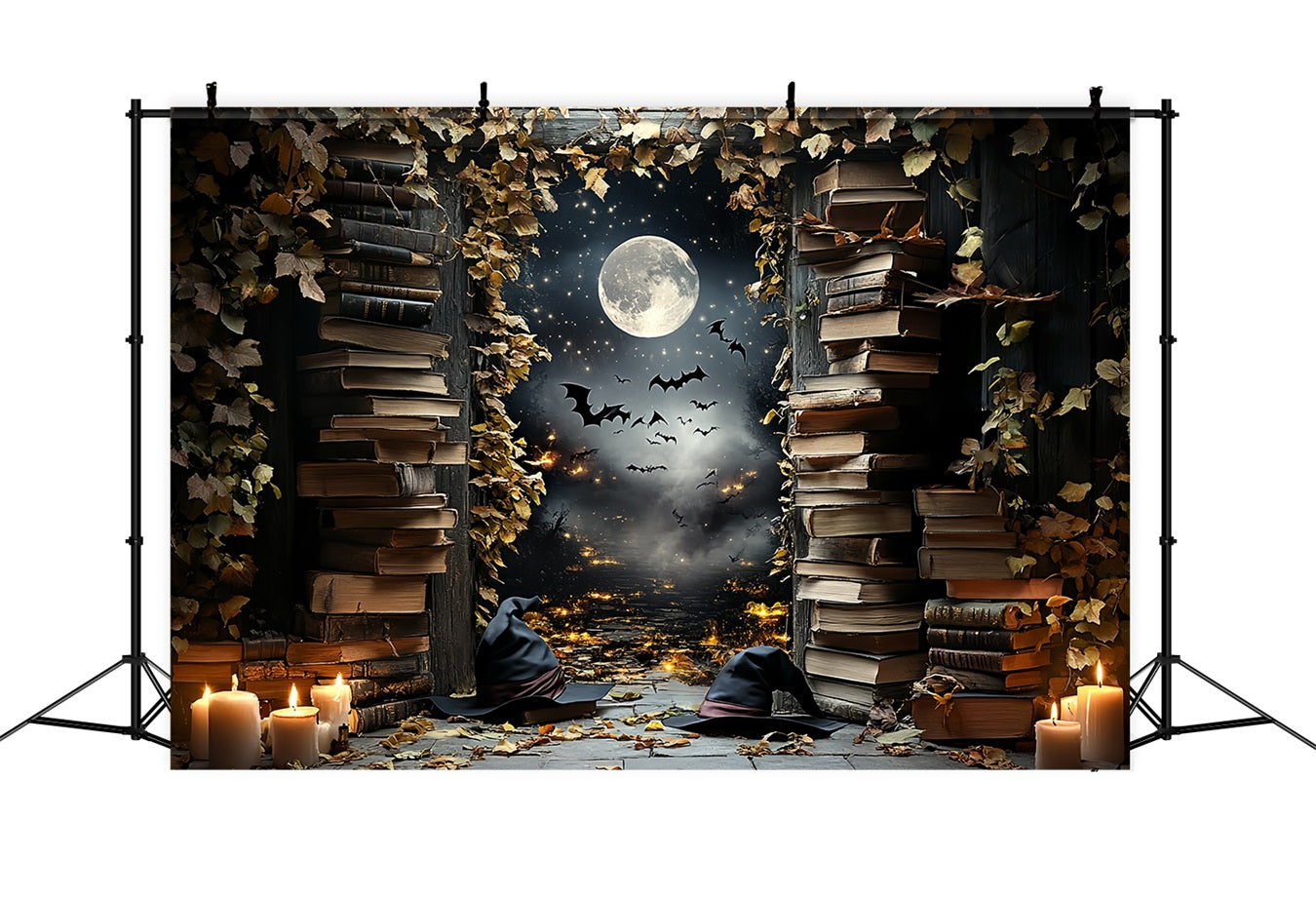Toile Photo Halloween Bibliothèque Sorcière Chauves-Souris Clair De Lune Idées CSH58-84