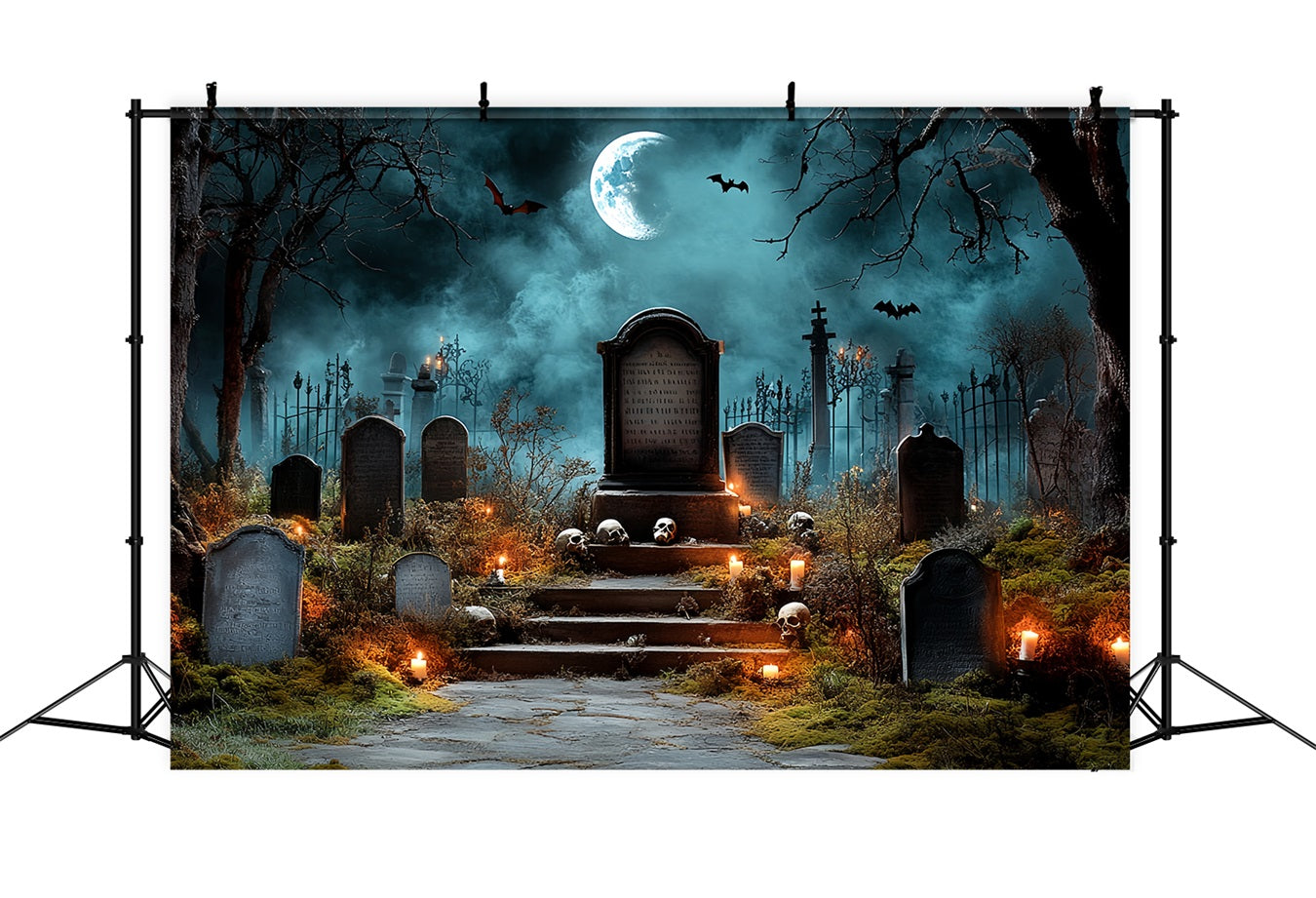 Toile Photo Halloween Tombes Effrayantes Nuit Chauves-Souris CSH58-90