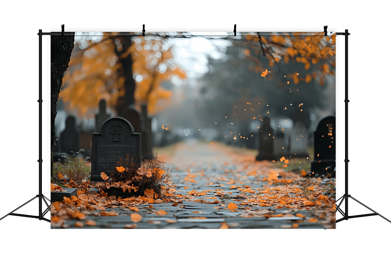 Fond Photo Halloween Feuilles D’Automne Allée De Tombes CSH58-91