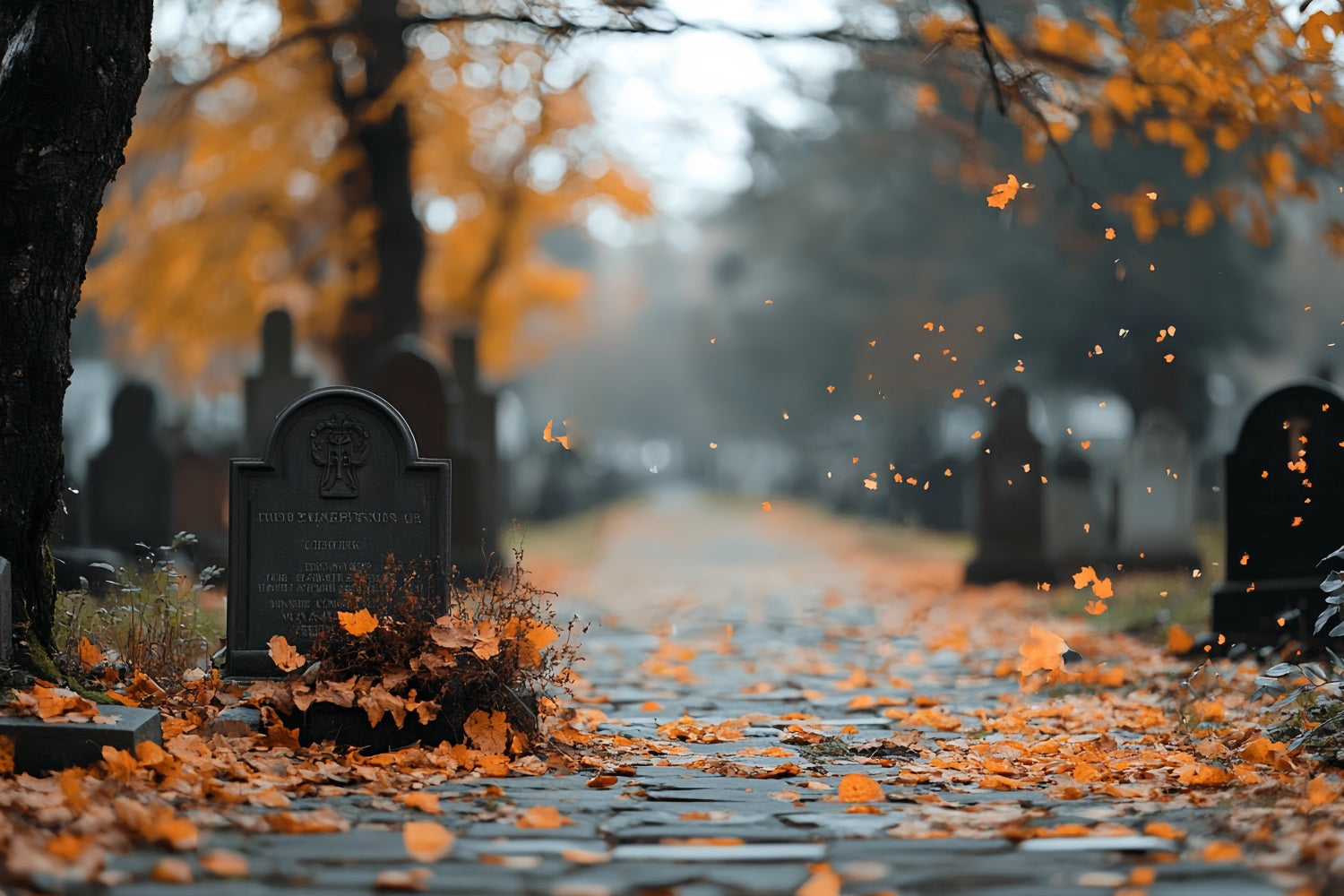 Fond Photo Halloween Feuilles D’Automne Allée De Tombes CSH58-91