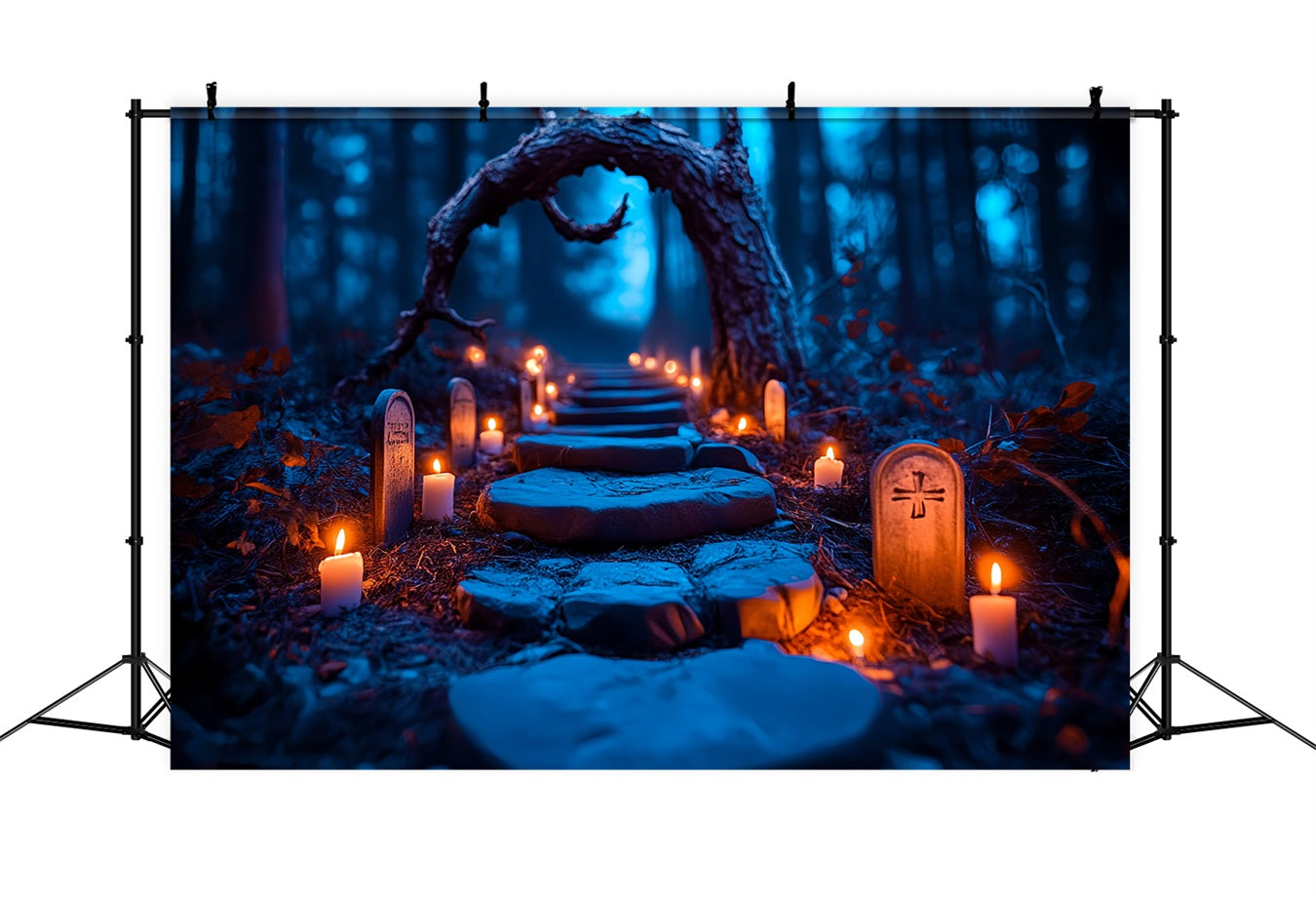 Toile Photo Halloween Tombes Illuminées Sentier Forêt CSH58-96