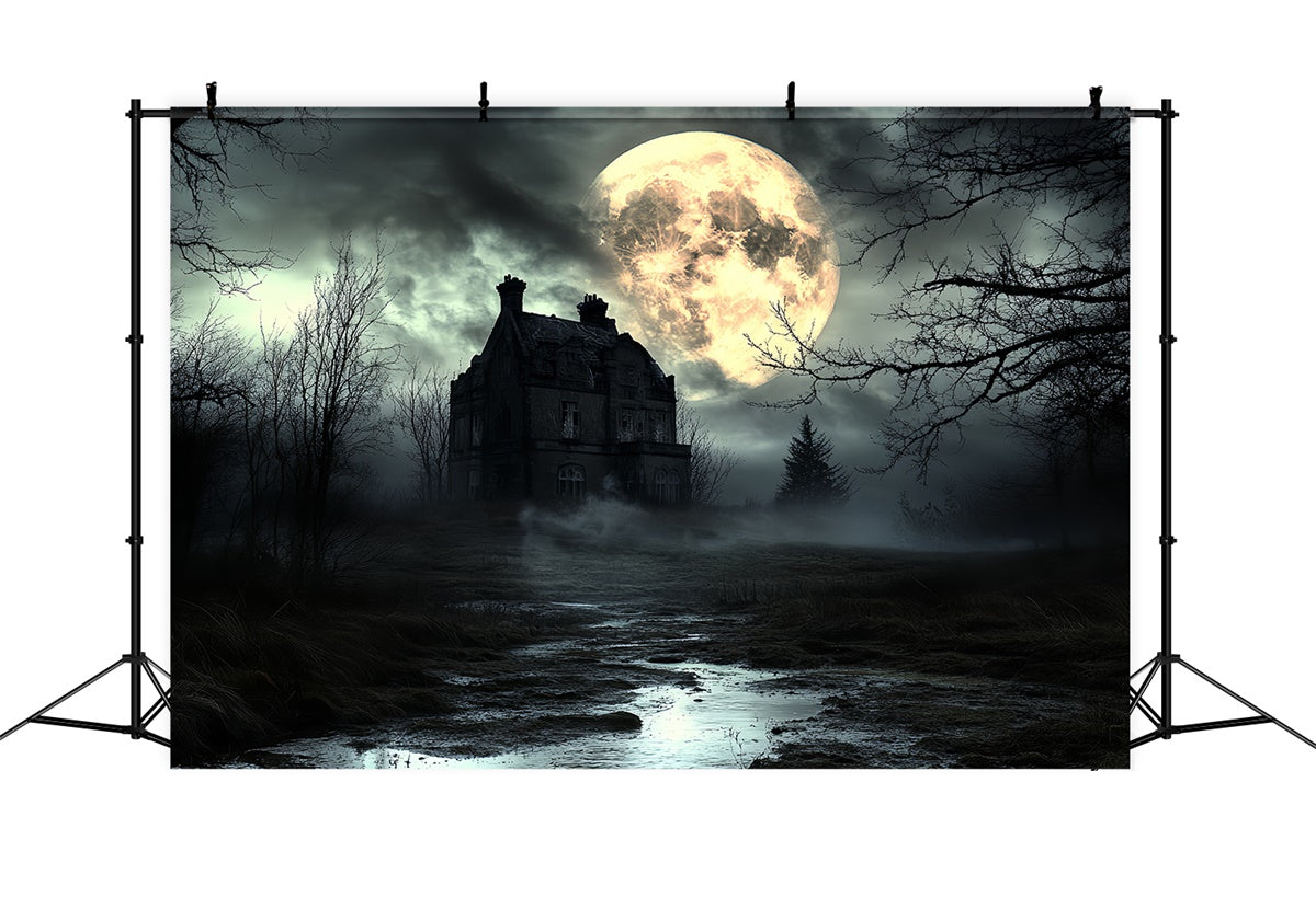 Toile de fond Halloween Lune Nuit Horreur Brumeuse CSH6-105
