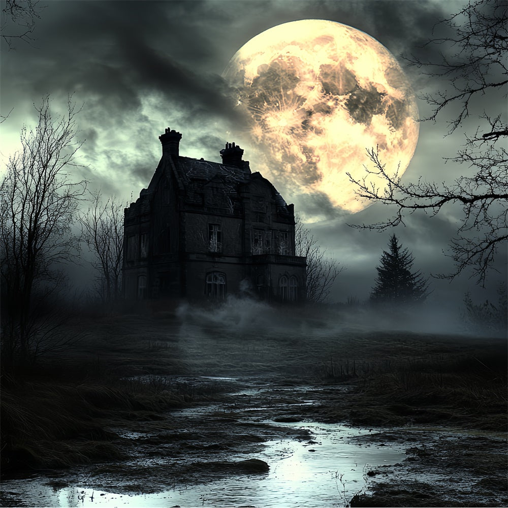 Toile de fond Halloween Lune Nuit Horreur Brumeuse CSH6-105