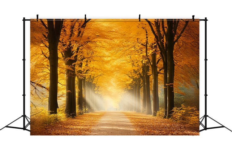 Toile de fond Automne Sentier Ambre Ensoleillé et Feuilles d’Automne CSH6-191