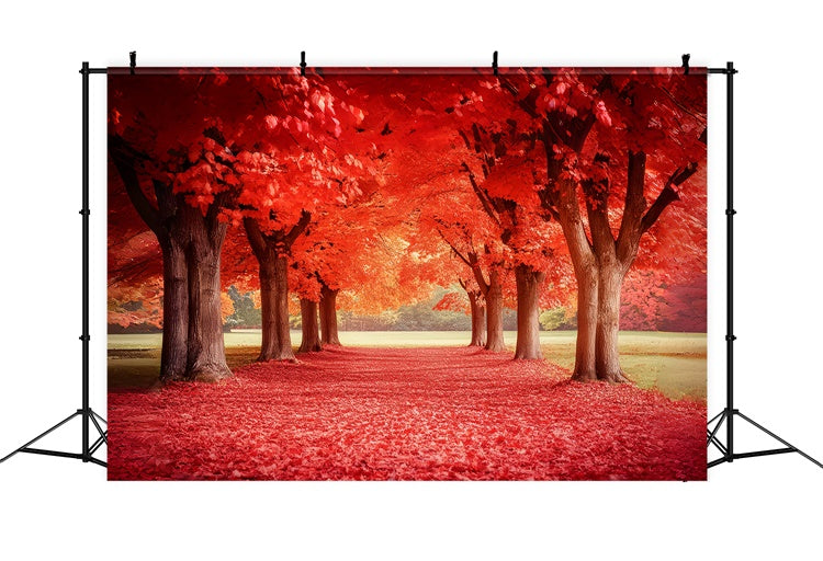 Toile de fond Photo Automne Sentier d’Érables Rouges CSH6-192