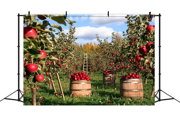 Toile de fond Photo Automne Récolte de Pommes au Verger CSH6-194