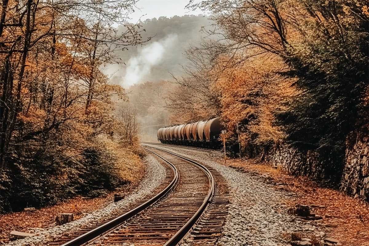 Toile de fond Photo Automne Charme Ferroviaire en Forêt CSH6-215