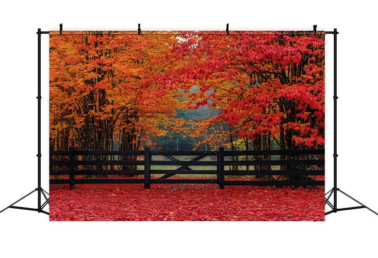 Toile de fond Automne Entrée Forêt Écarlate CSH6-220