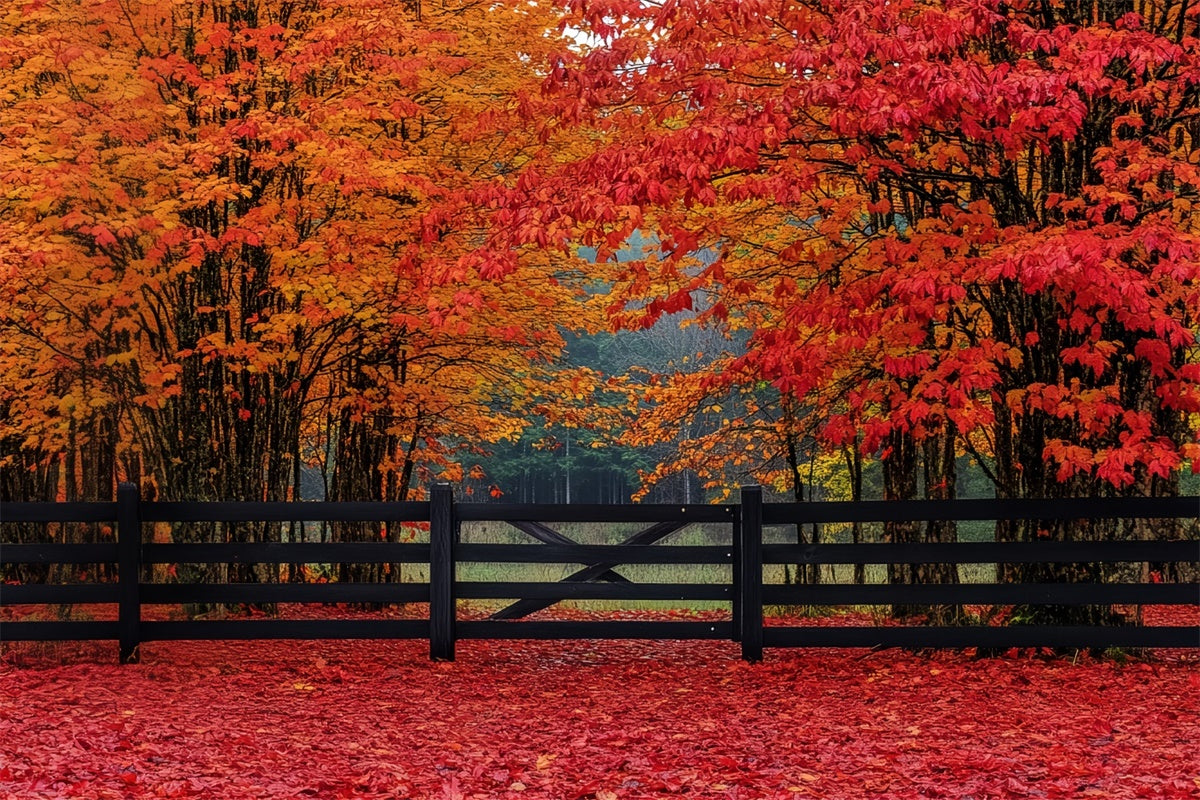 Toile de fond Automne Entrée Forêt Écarlate CSH6-220
