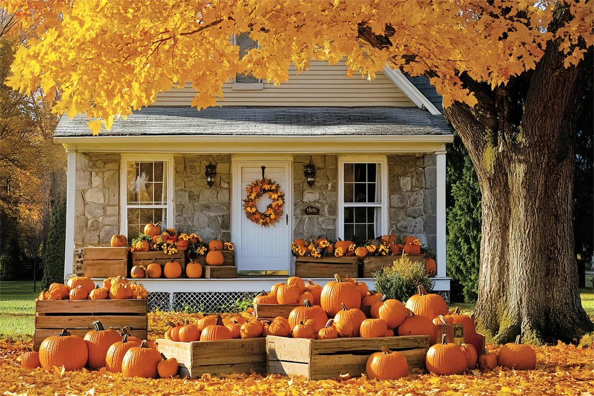 Toile de fond Photo Automne Chalet Doré sous l’Arbre CSH6-222