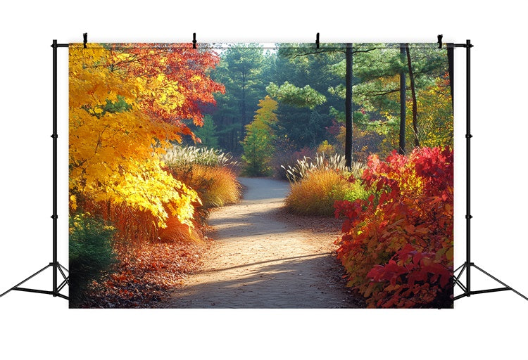 Toile de fond Photo Automne Sentier Doré dans le Bosquet CSH6-226