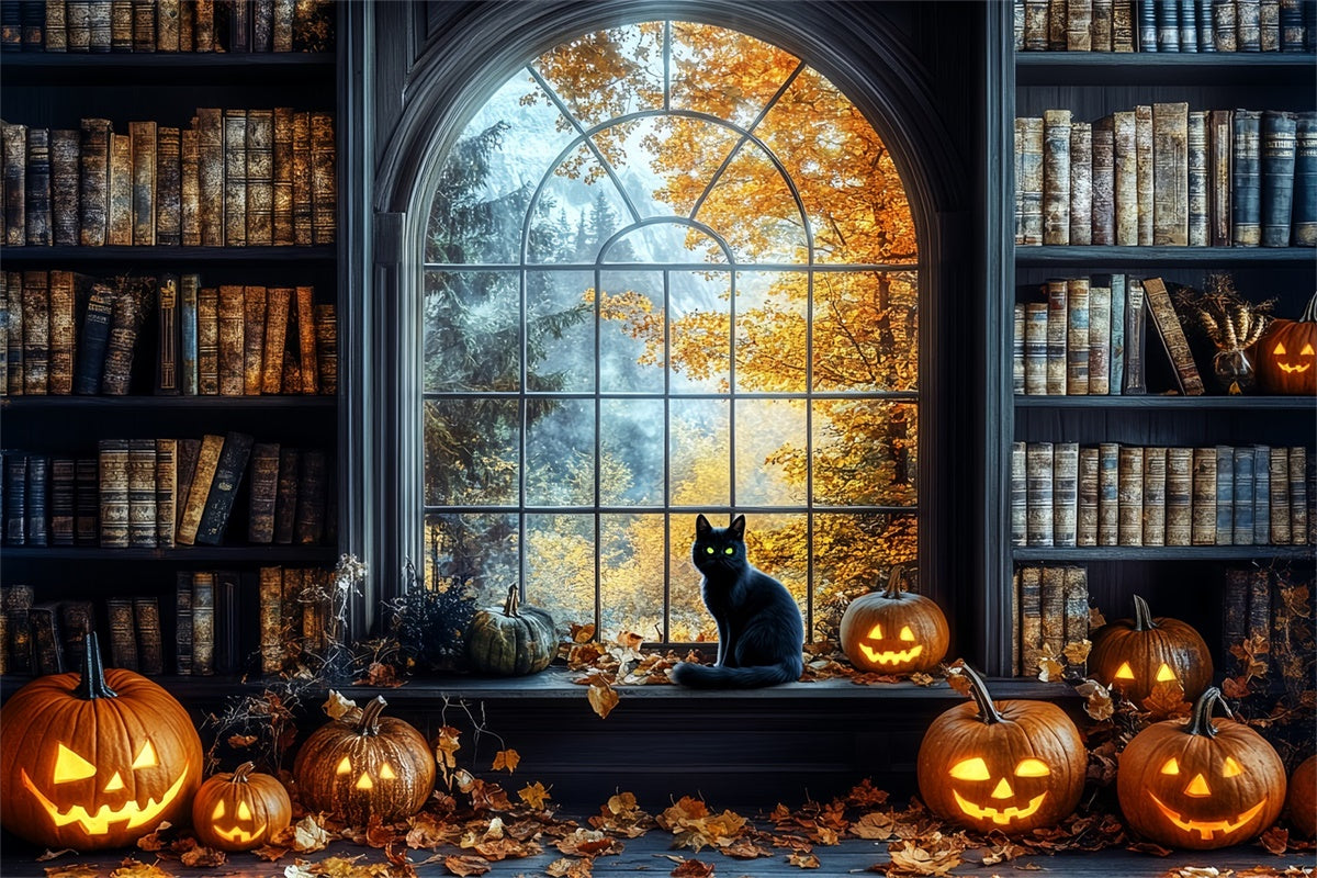 Toile de fond Idées Halloween Bibliothèque Enchantée CSH6-79