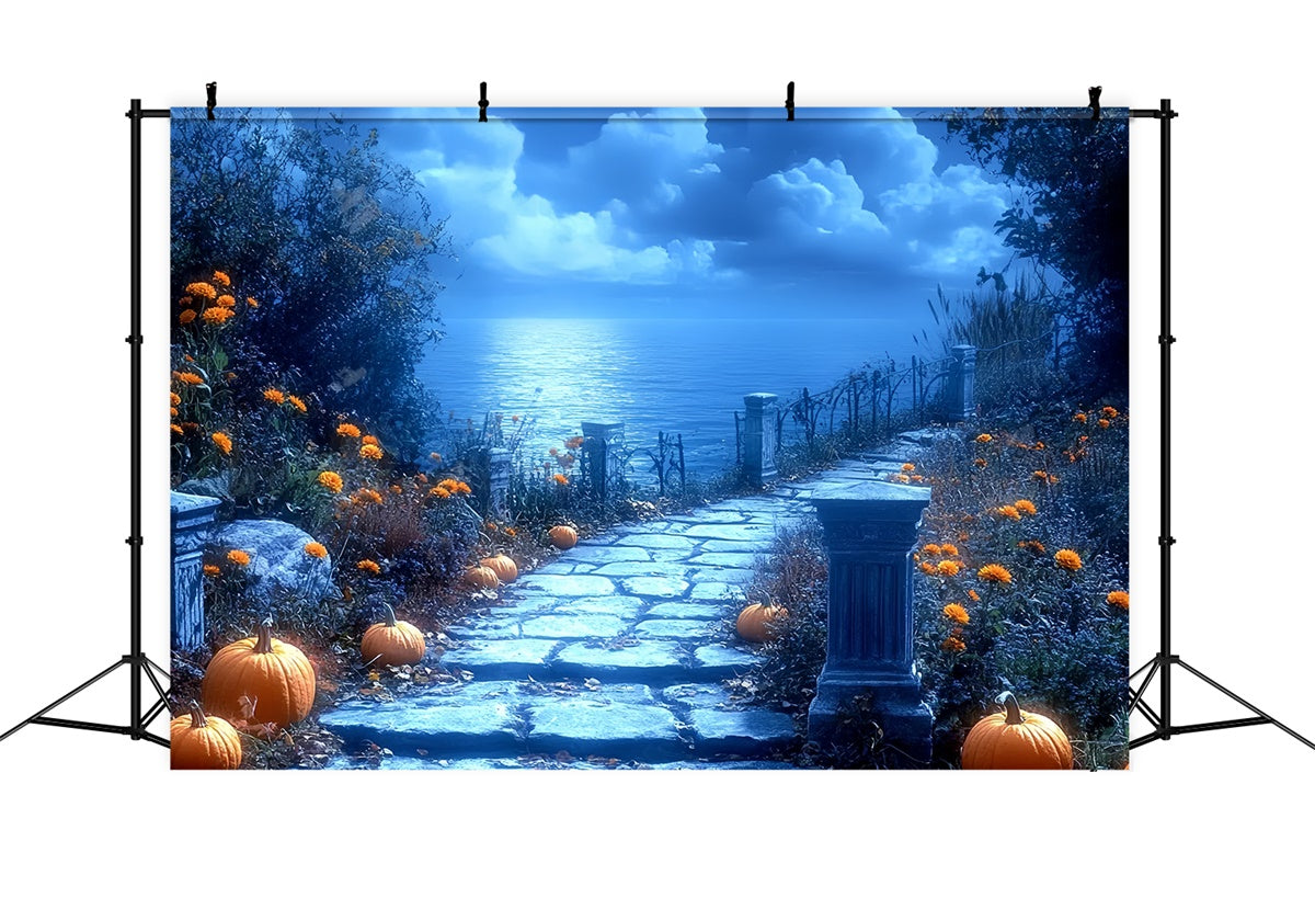 Toile de fond Photographie Halloween Chemin de Citrouilles au Clair de Lune CSH6-86