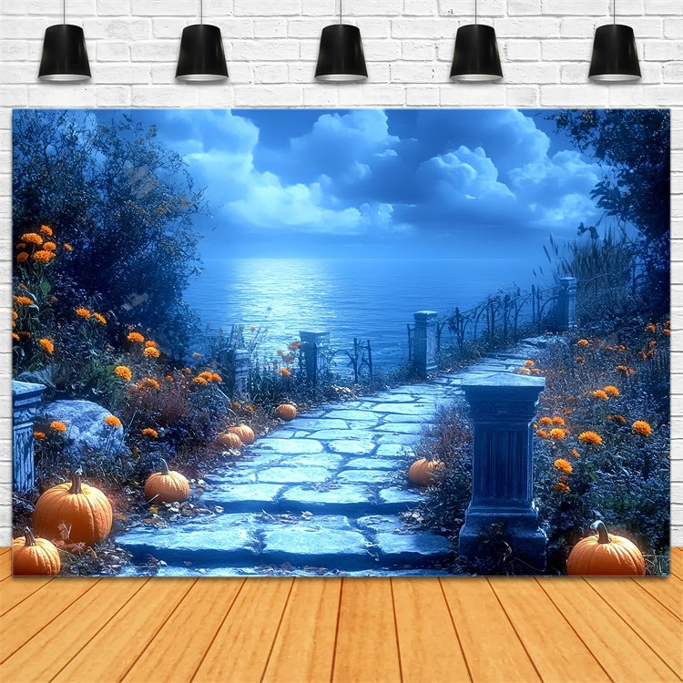 Toile de fond Photographie Halloween Chemin de Citrouilles au Clair de Lune CSH6-86