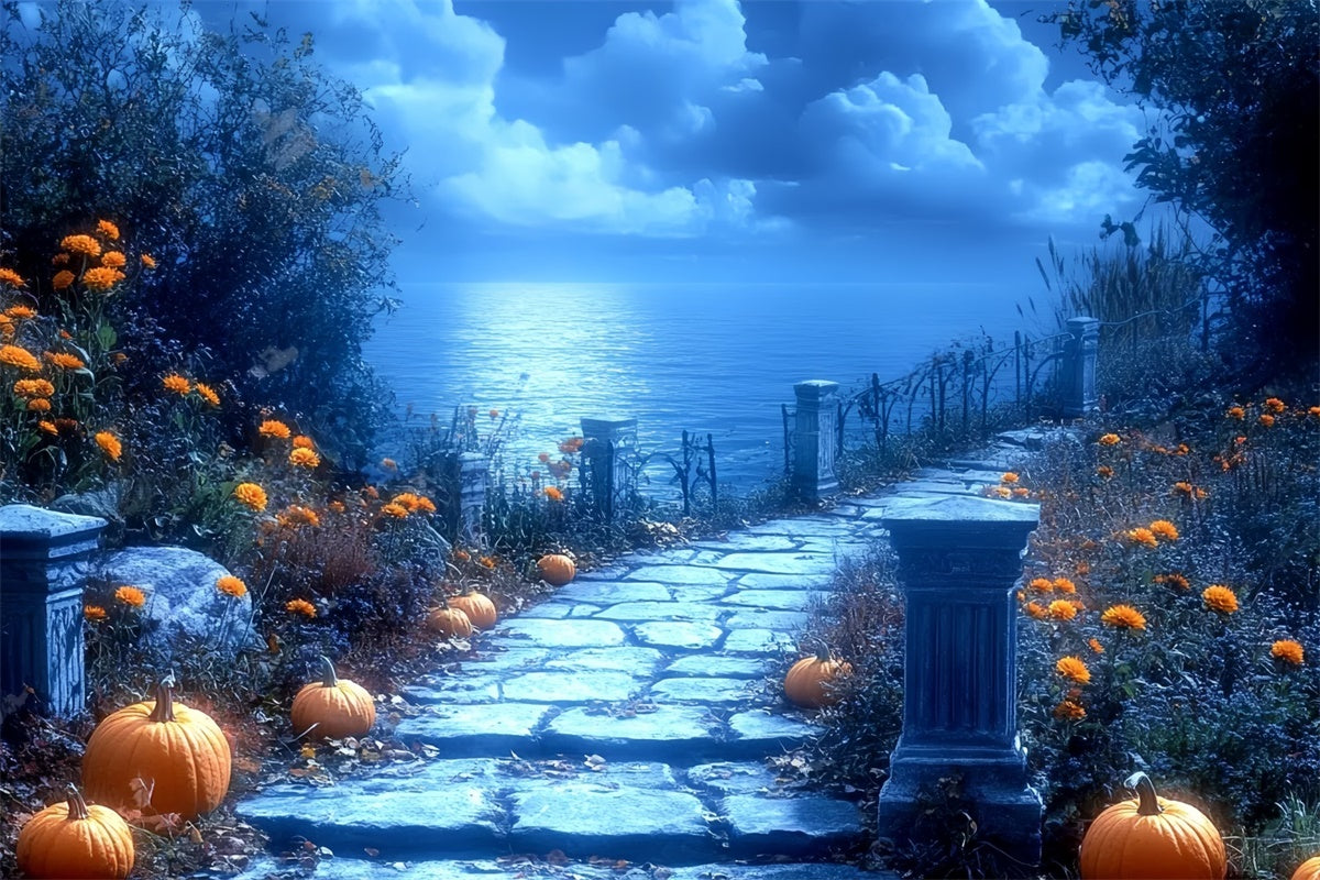 Toile de fond Photographie Halloween Chemin de Citrouilles au Clair de Lune CSH6-86