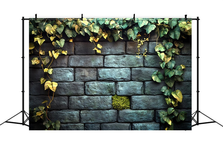 Toile de fond Mur Halloween Mur de Pierre Jardin Lierre CSH6-92