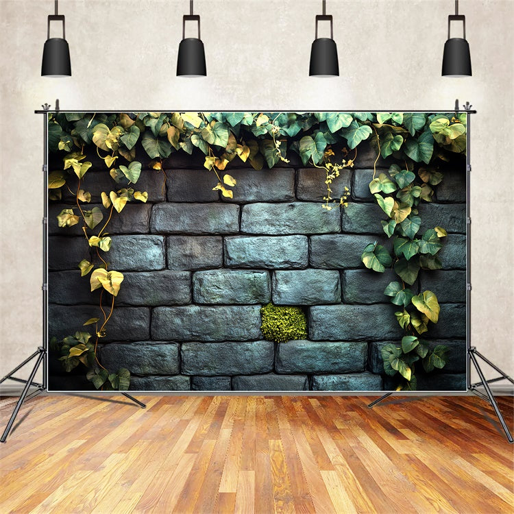 Toile de fond Mur Halloween Mur de Pierre Jardin Lierre CSH6-92