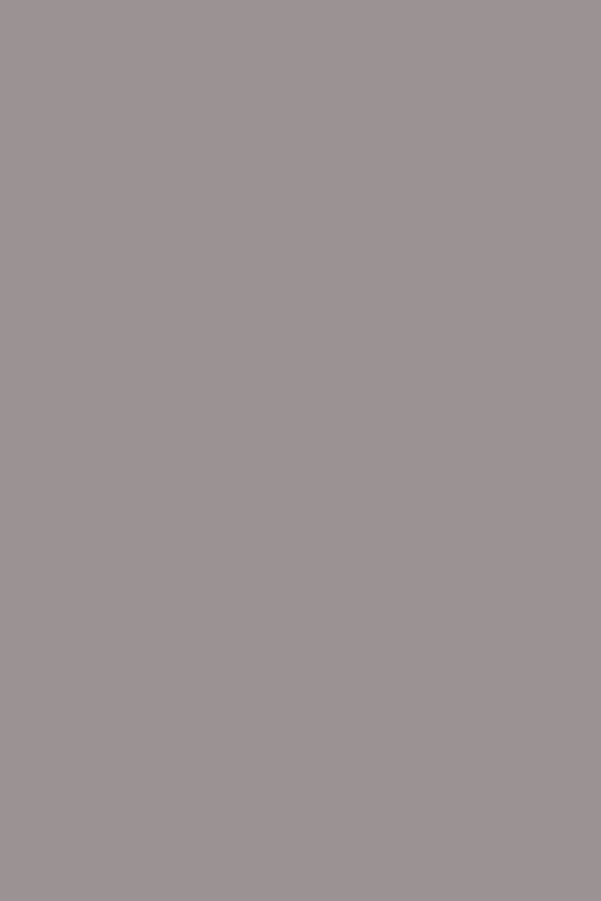Toile de Fond Marron Clair Taupe Chaud Neutre Ton Mat CSH62-13