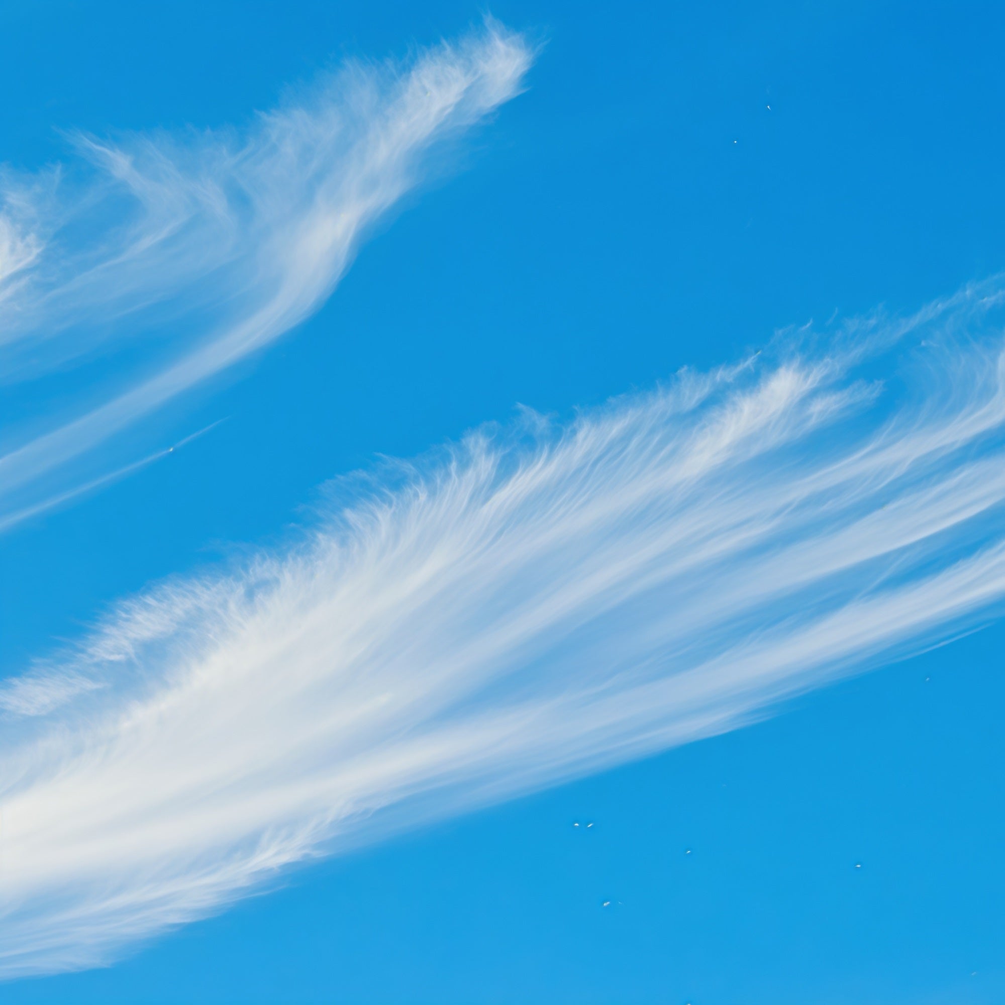 Toile de fond Photo Ciel Ciel Bleu Cirrus Légers CSH62-135