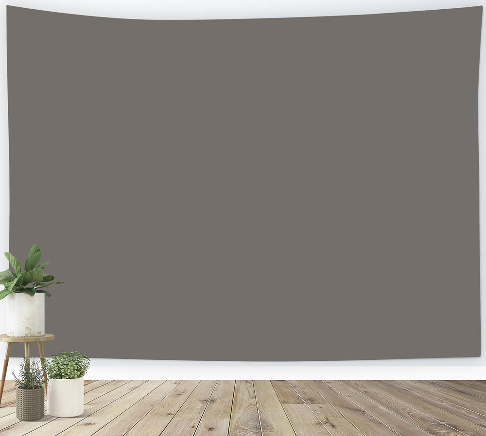 Toile de Fond Gris Gris Charbon Profond Finition Lisse CSH62-14