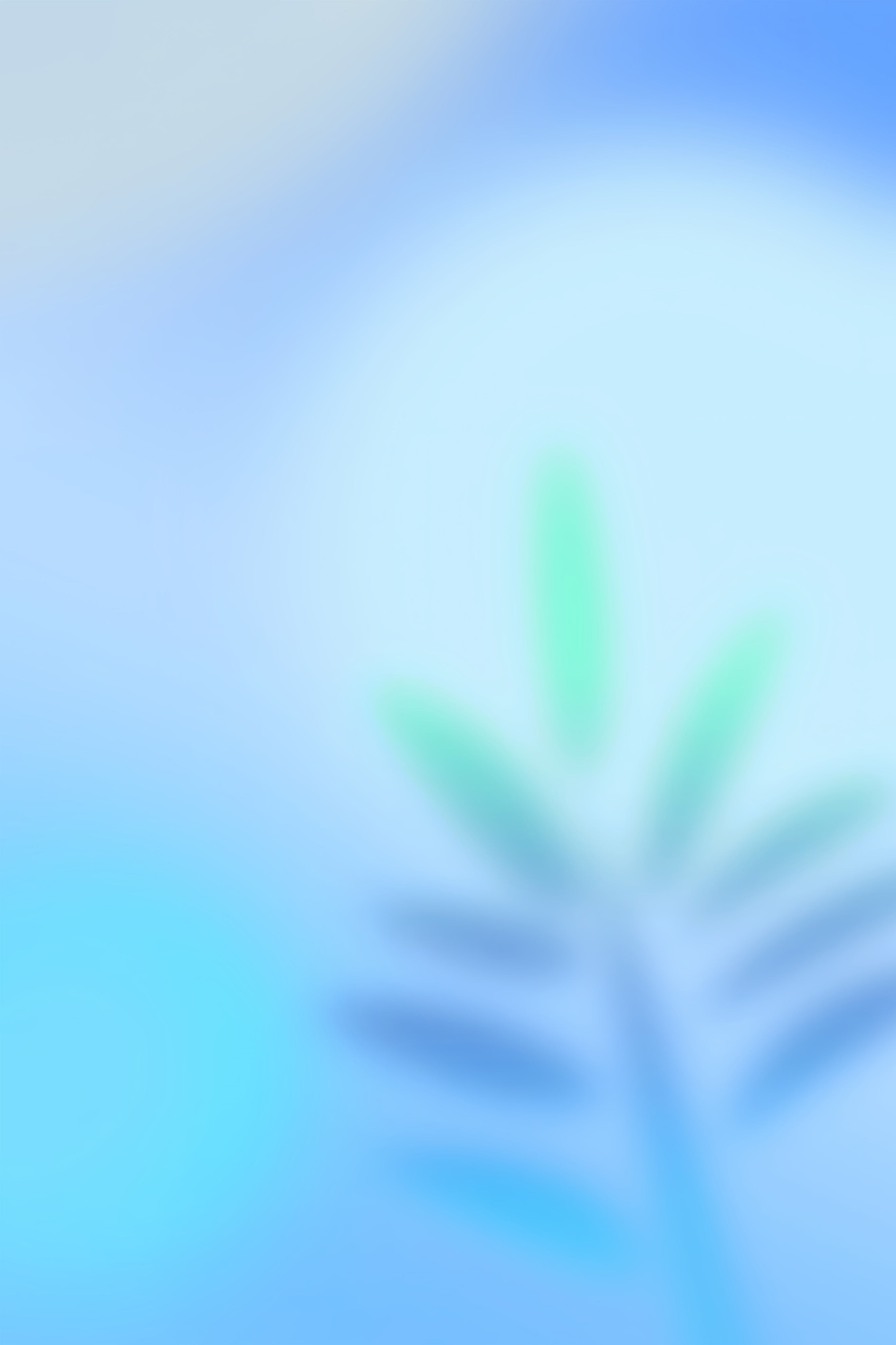 Fond Photo Dégradé Lueur Douce Vert Palmier Bleu CSH62-45