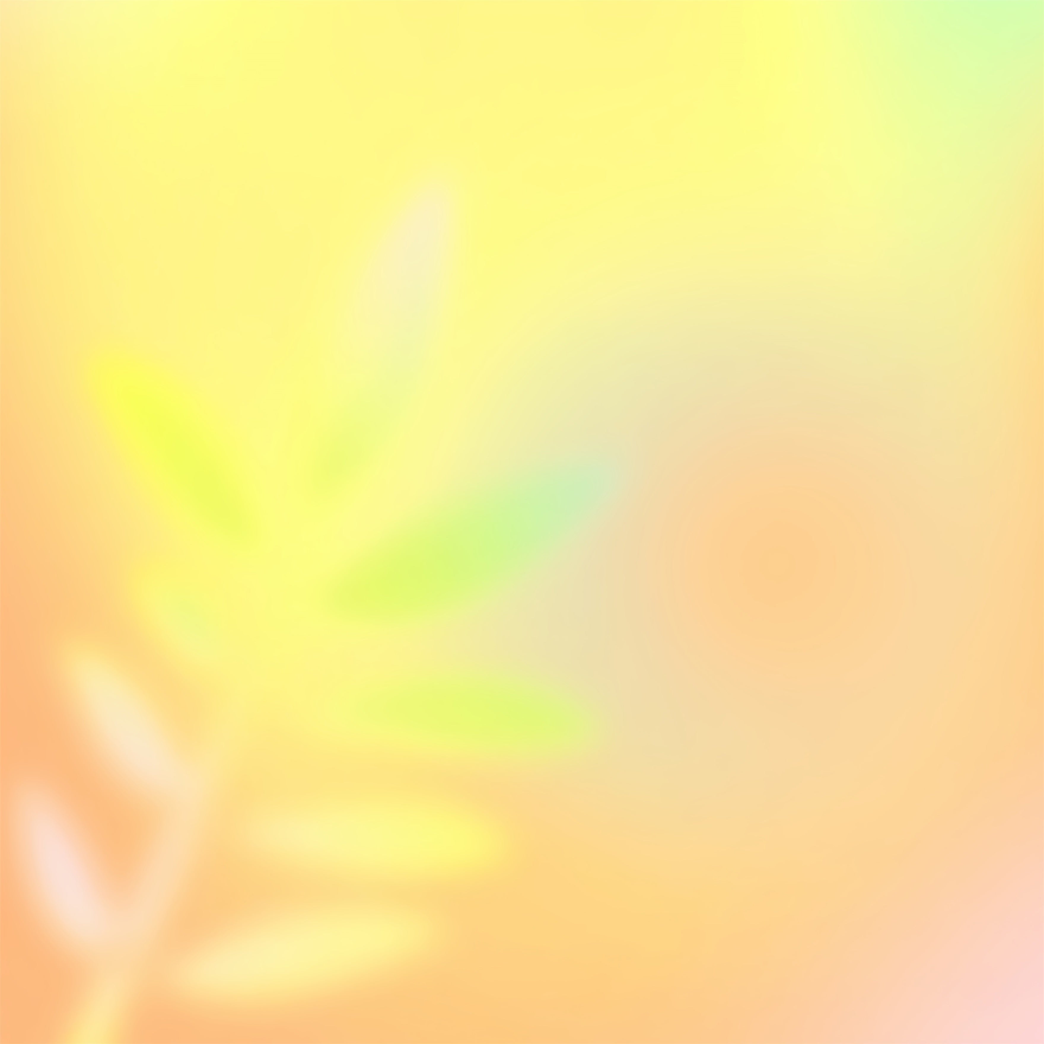 Fond Studio Portrait Dégradé Fusion Lever De Soleil Jaune Vert Rose CSH62-46