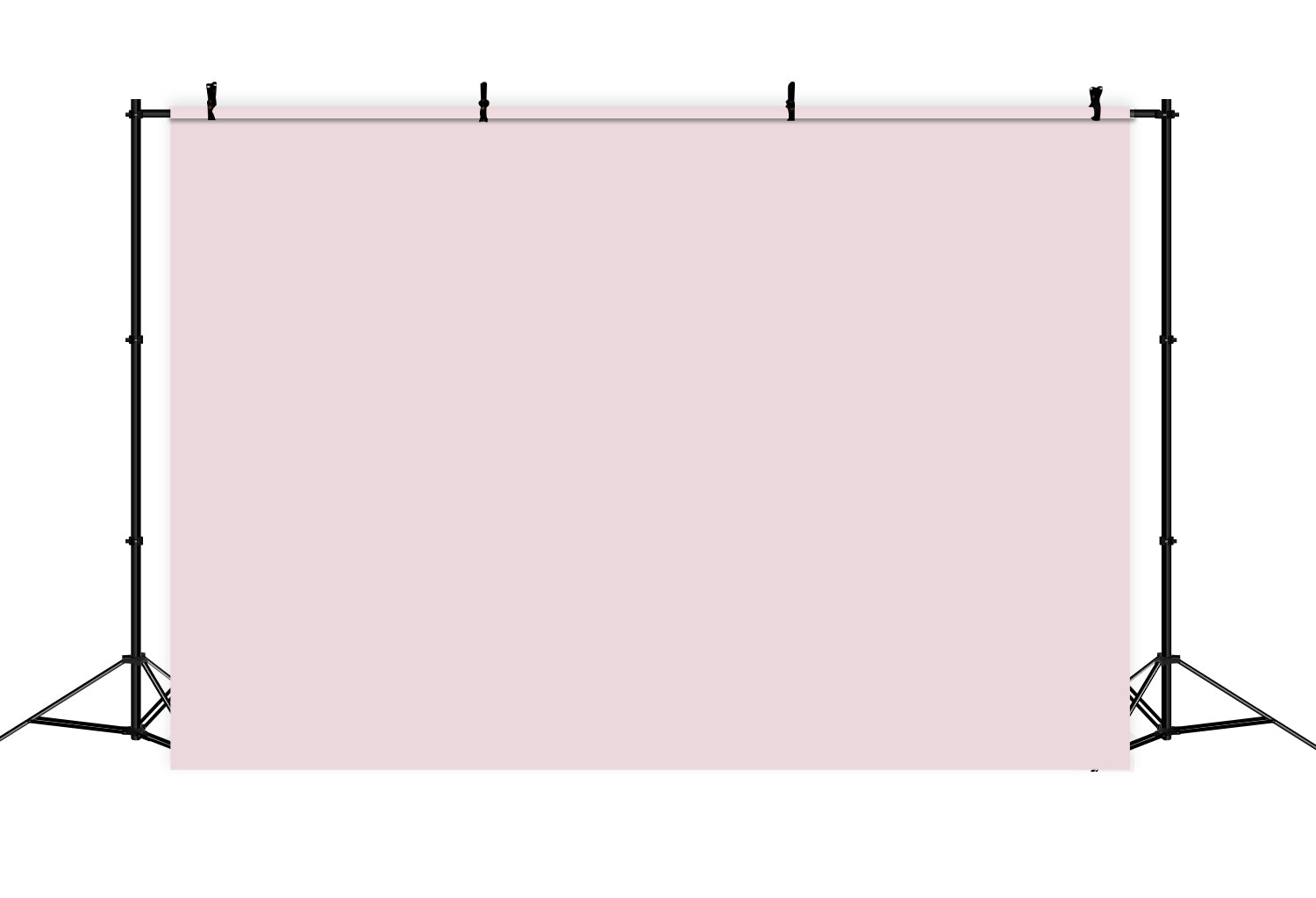 Fond Studio Rose Clair Pastel Rose Blush Doux CSH62-5