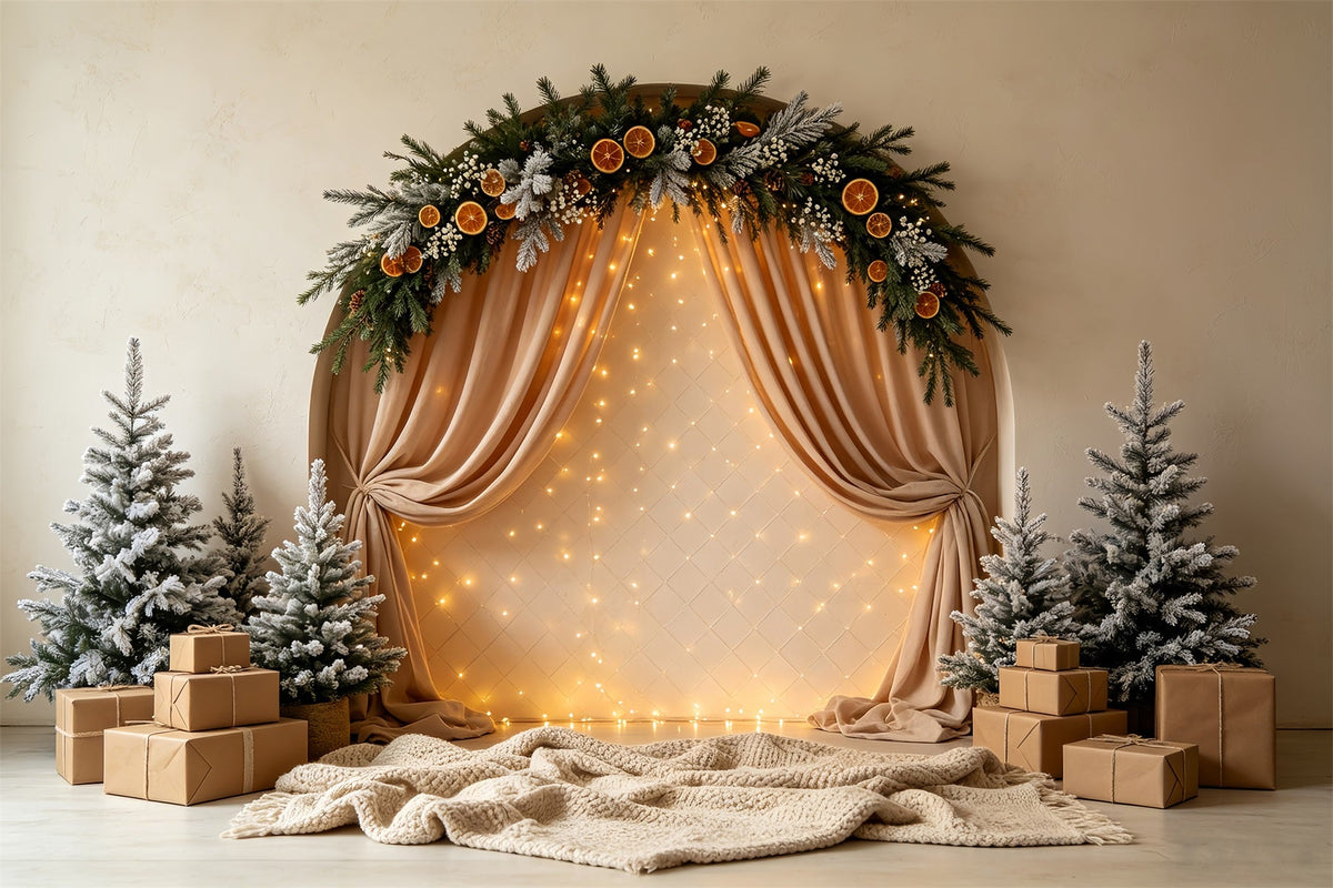Fond De Lumières De Noël Rideau De Guirlande En Arc Givré Décor De Noël CSH68-56