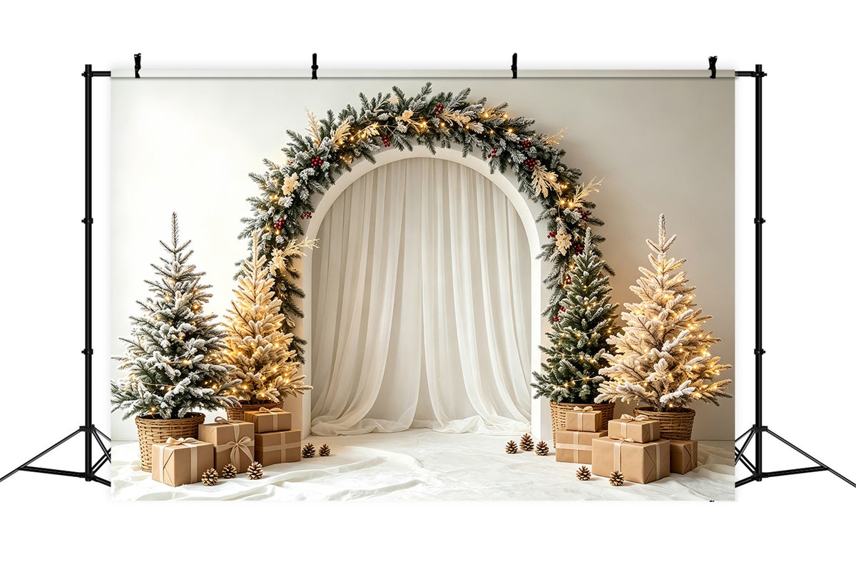 Fond De Couronne De Noël Installation De Rideaux Arqués Dépolis Décor Photo De Noël CSH68-91