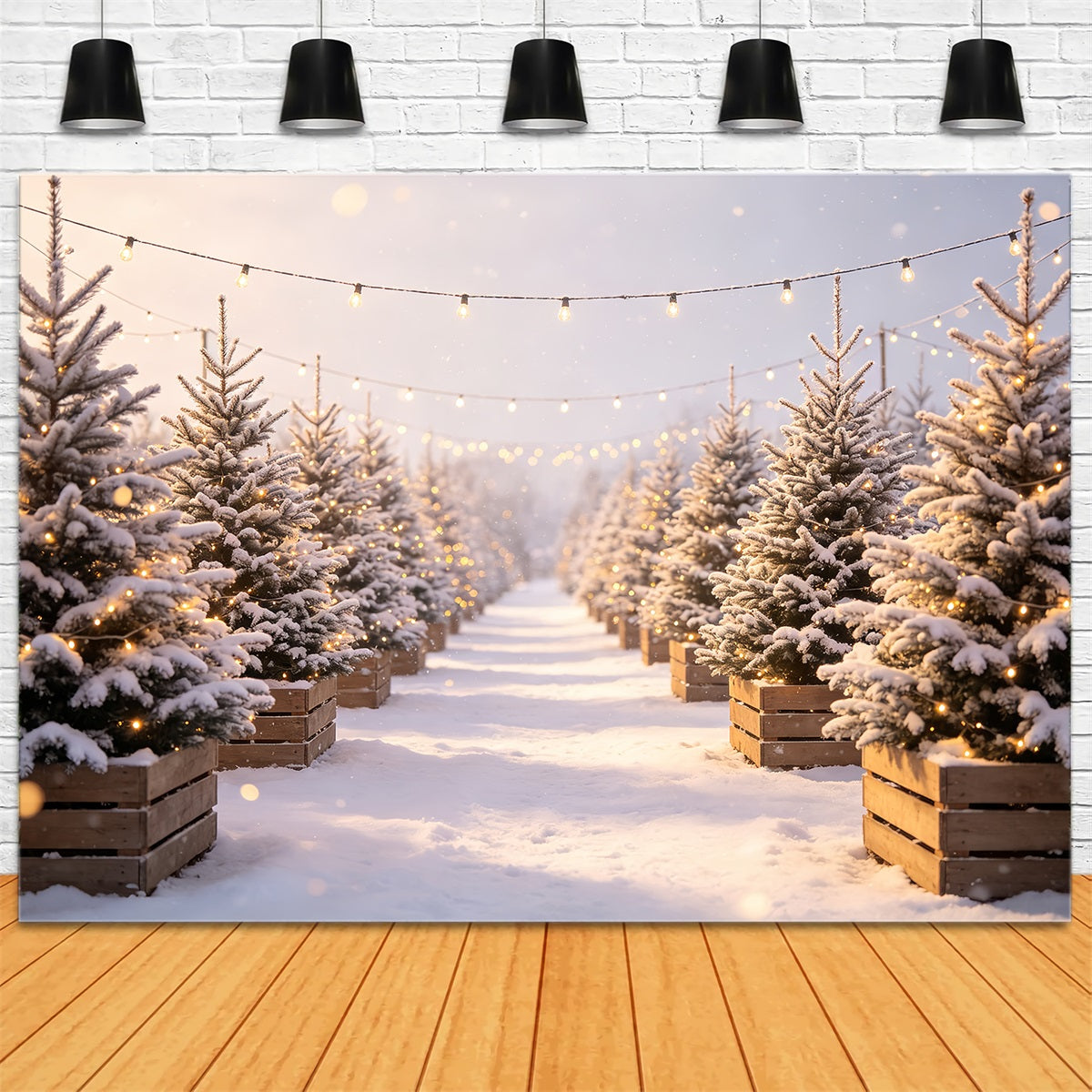 Décor De Ferme De Sapins De Noël Chemin Lumineux Du Pin Enneigé Fond Photo De Noël CSH68-97