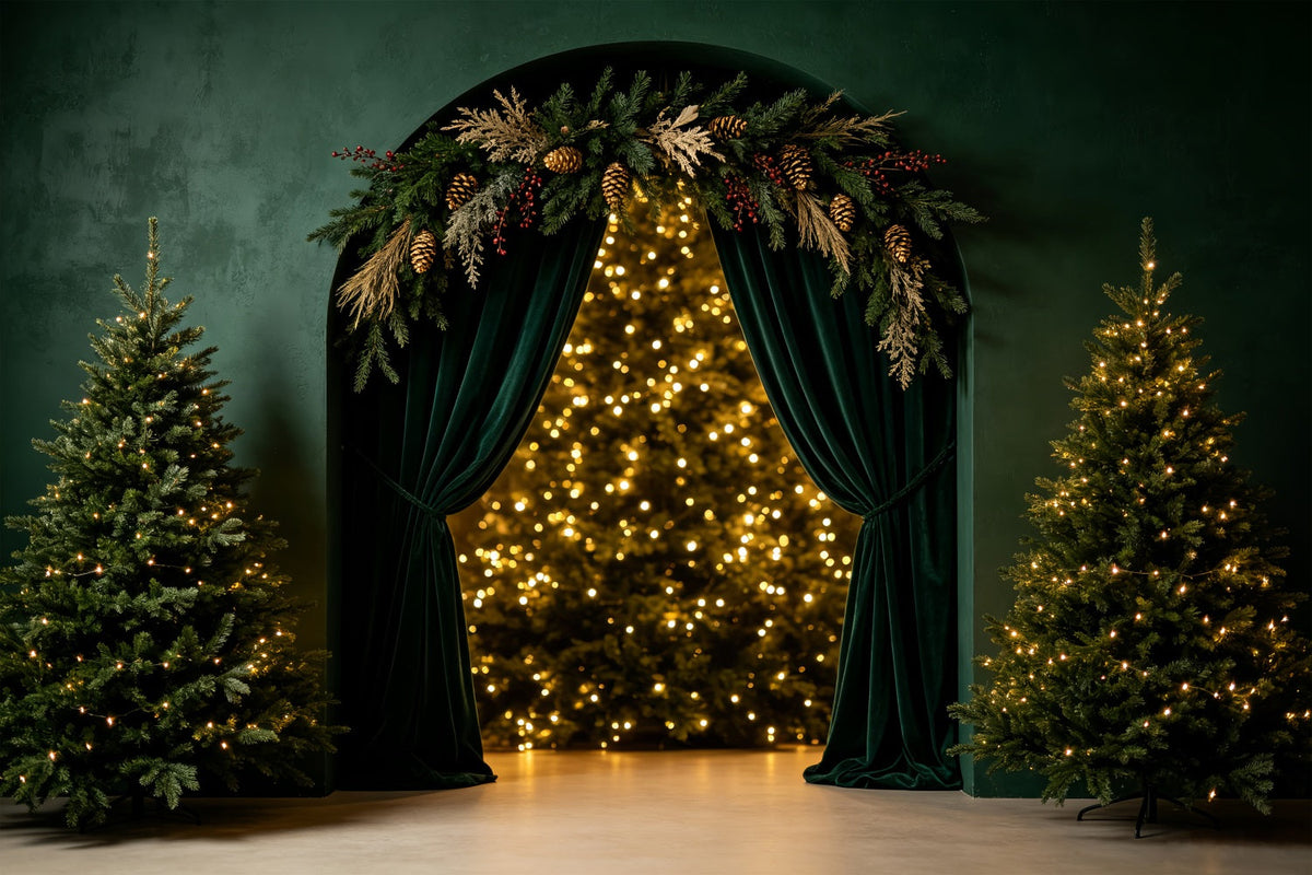 Fond Bokeh De Noël L'Arche D'Émeraude Lueur De L'Arbre Toiles De Fond En Mousseline De Noël CSH69-25