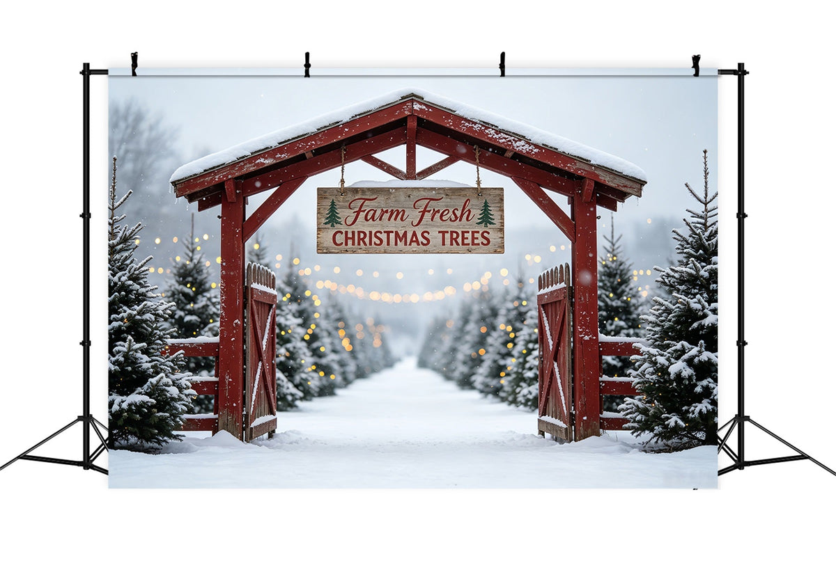 Décor De Ferme De Sapins De Noël Porte De La Ferme Snowy Tree Fond Photo De Noël CSH69-48