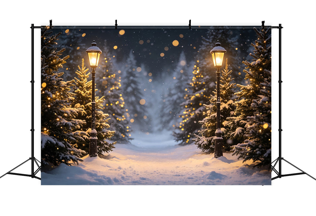 Fond Photo De Noël Haute Résolution Sentier De La Forêt Des Lanternes Enneigées Décor CSH69-96